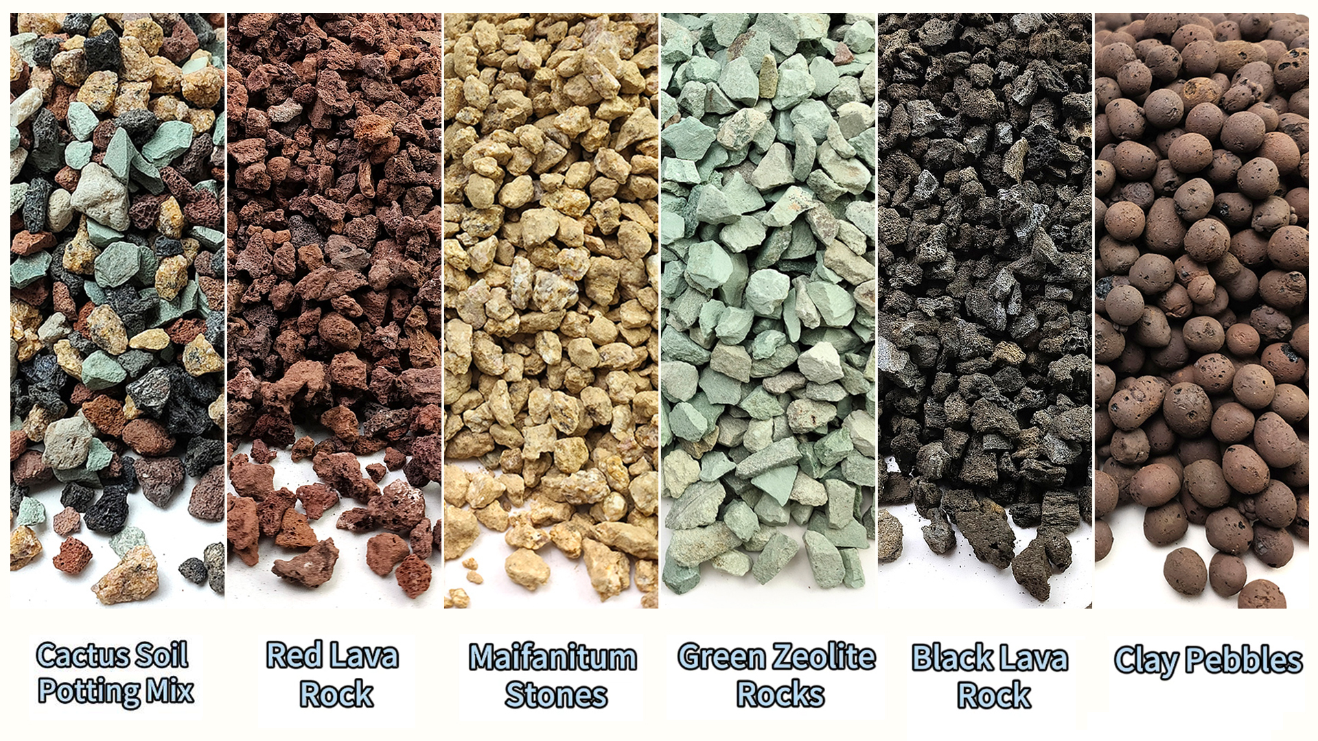 Amazon.com : YISZM Succulents and Cactus Green Zeolite Rocks