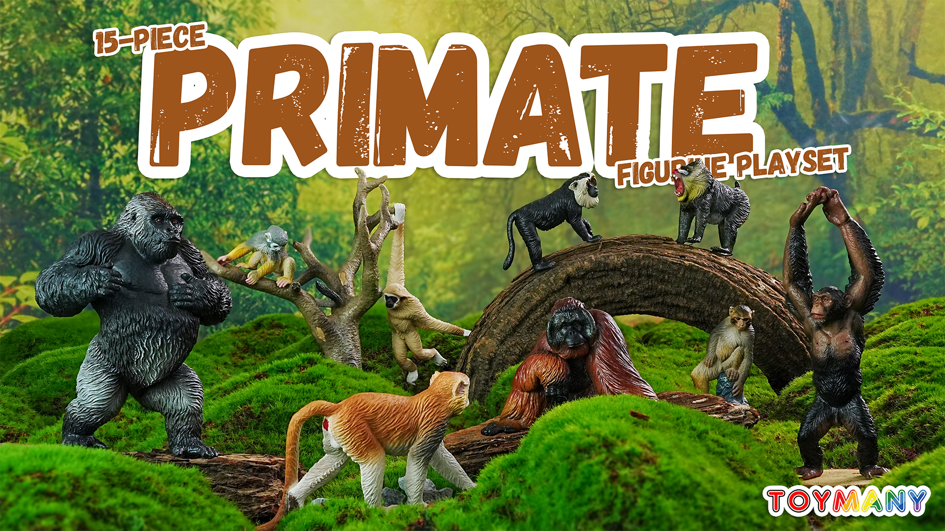 Amazon.com: Toymany 15PCS Monkey Primates Figurines, Plastic