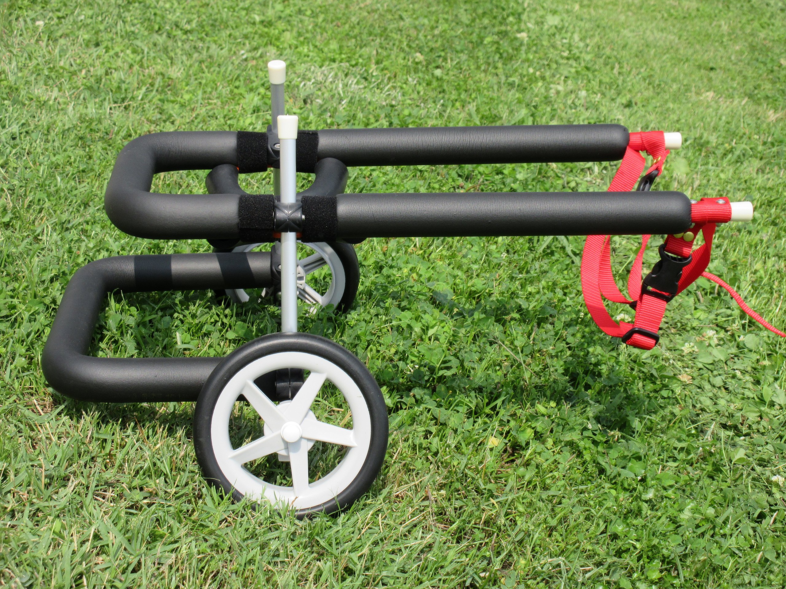 Amazon.co.jp: 犬用車椅子 歩行器 小型犬用 オーダーメイド 2輪 室内