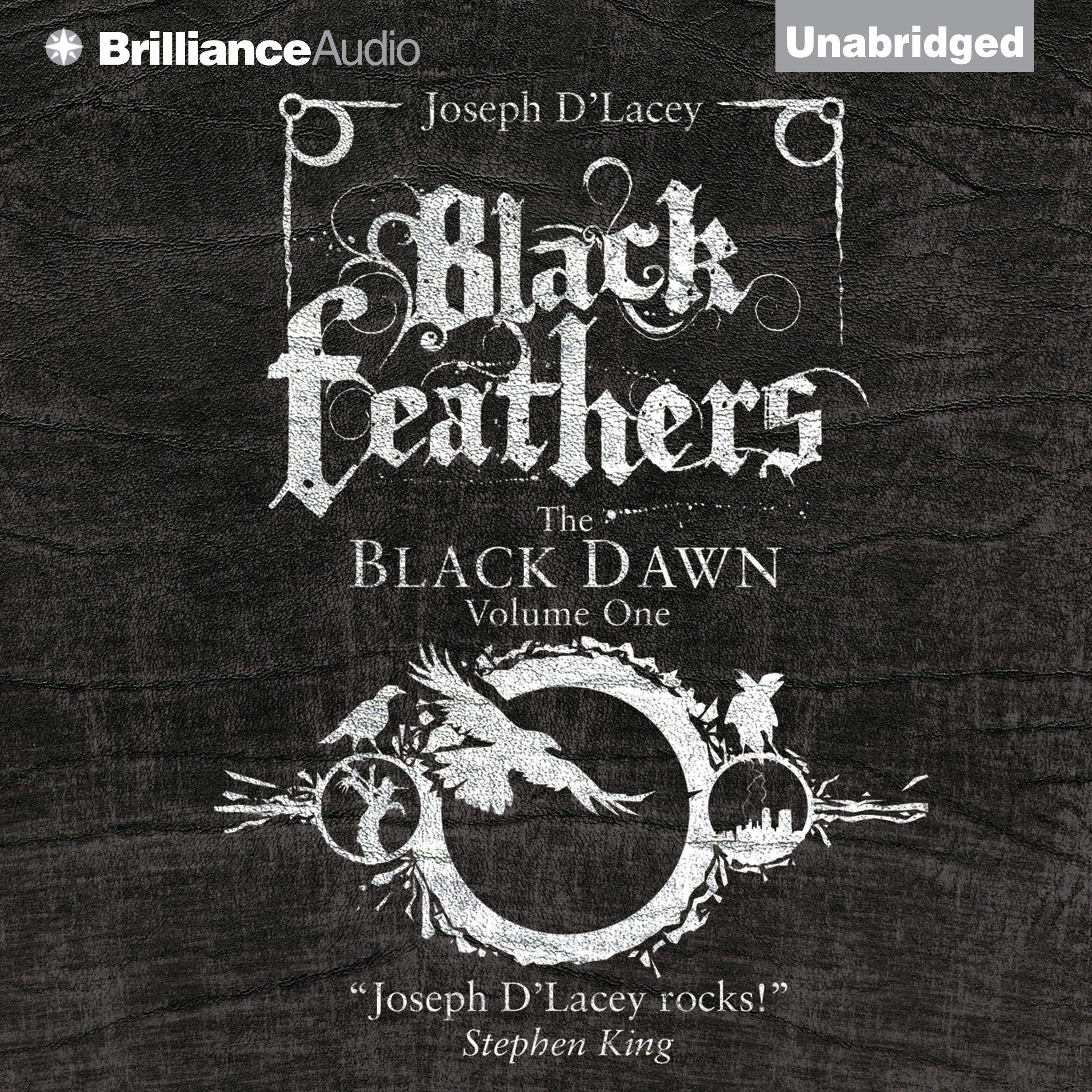 Cover art for Black Feathers