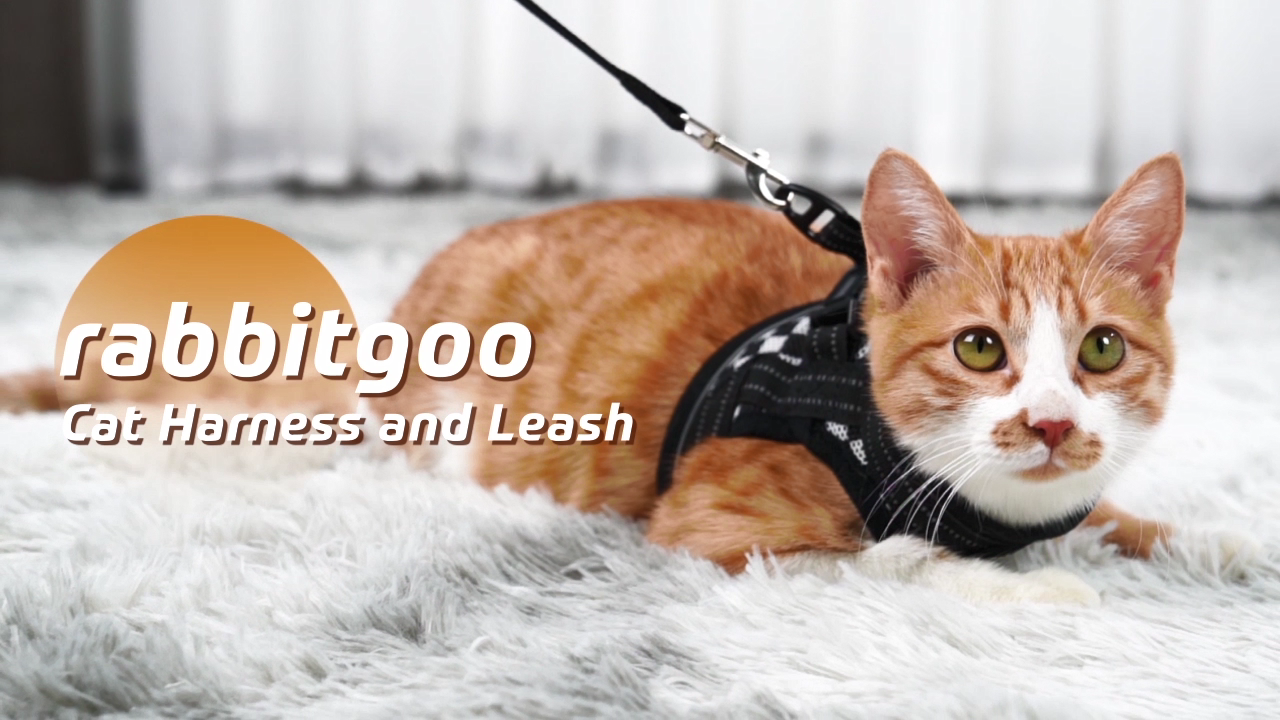 rabbitgoo Cat Harness and Leash, Escape Proof Cat Walking Harness, Adjustable Soft Mesh Kitty Vest Harness for Cats… - Image 8