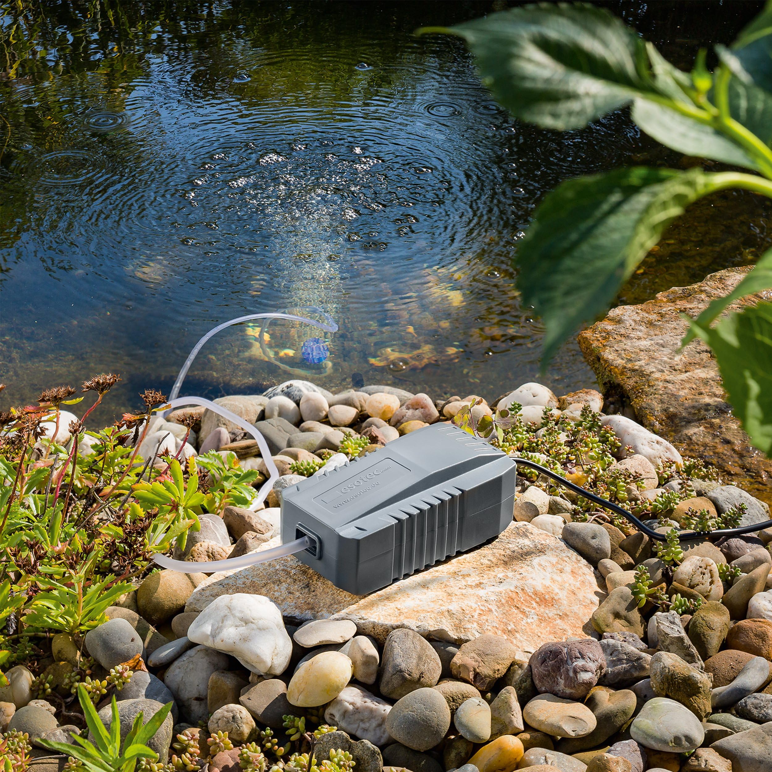 esotec Solar Teichbelüfter AIR S, 6-9V/DC Einzelpumpe, Ersatzpumpe, Sauerstoffpumpe, Gartenteich Luftpumpe, Teichpumpe, Belüfterpumpe, Zubehör-Pumpe, IP44 101850