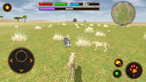 Clan of Cheetahs