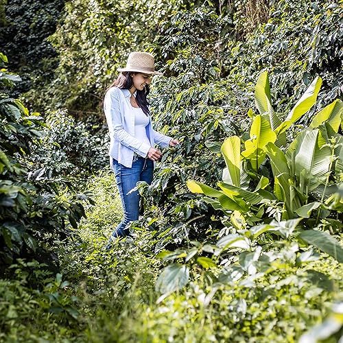 Miniatura 5 de La Divisa - El mejor café colombiano. Tostado oscuro (tradicional), molido (bolsa de 12 onzas). Granos de café árabe siempre frescos, especiales y