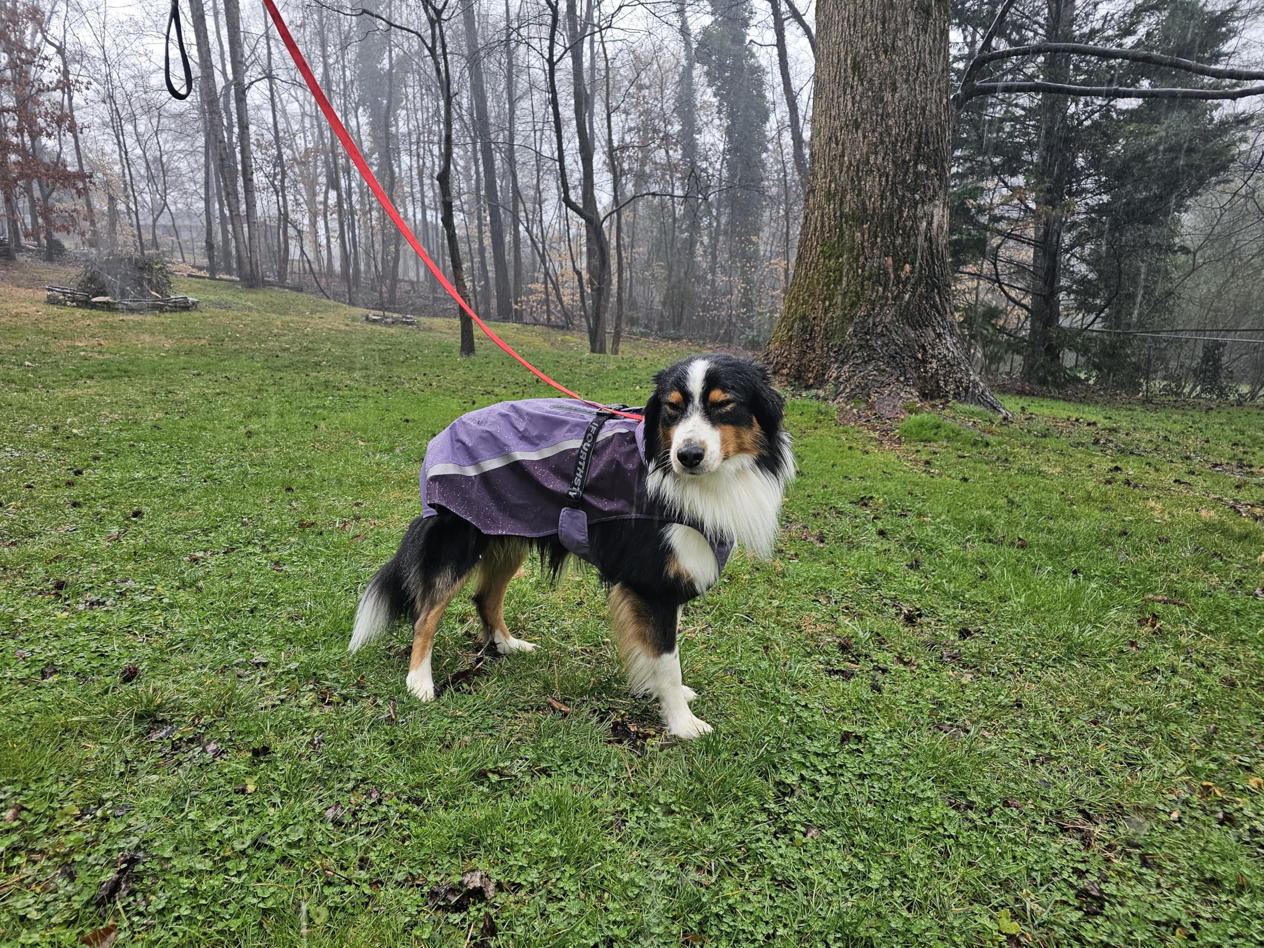 Manteau de pluie imperméable pour chien avec veste de pluie légère et réfléchissante (longueur du dos 65 cm, violet)