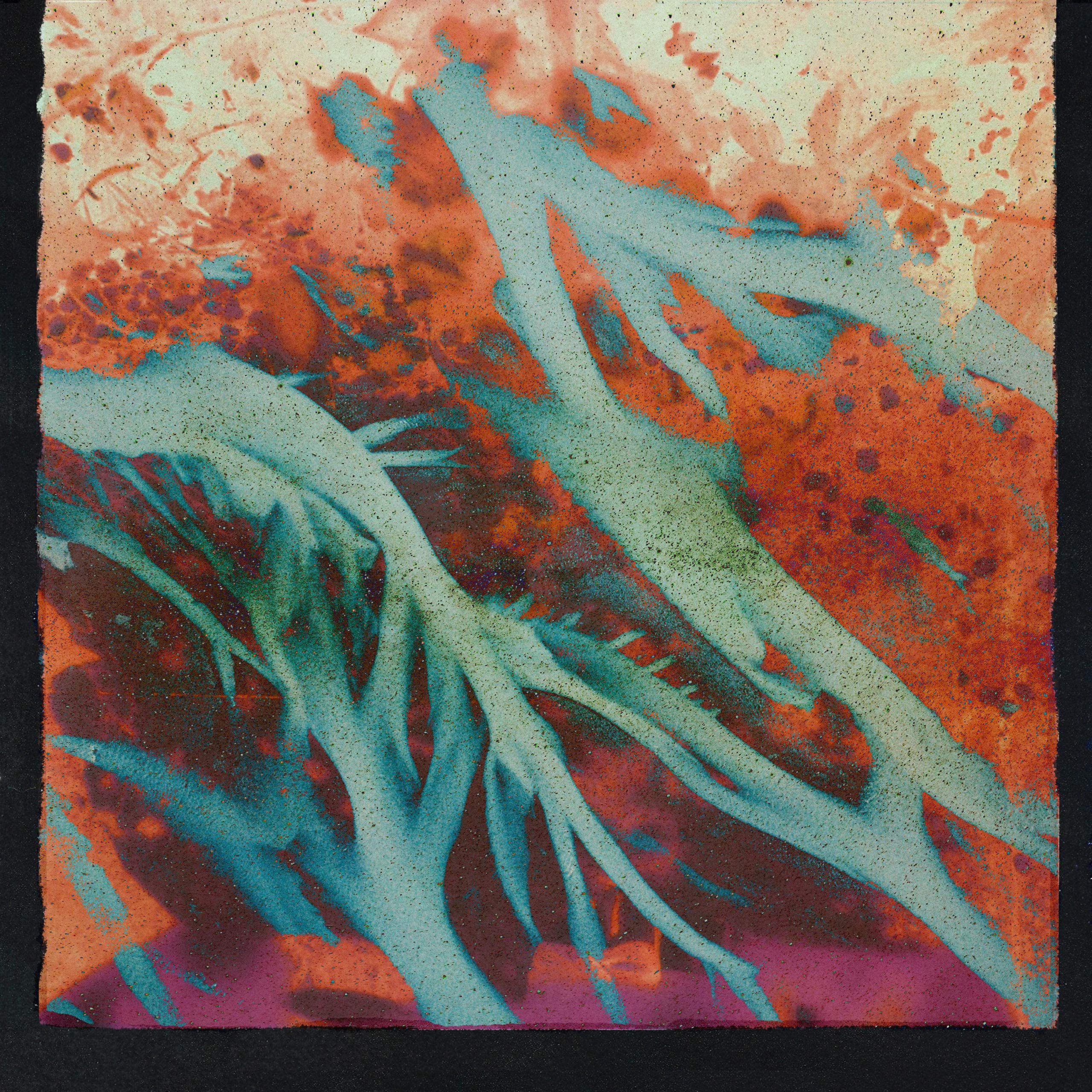 Hoodie Forester, Young Jae