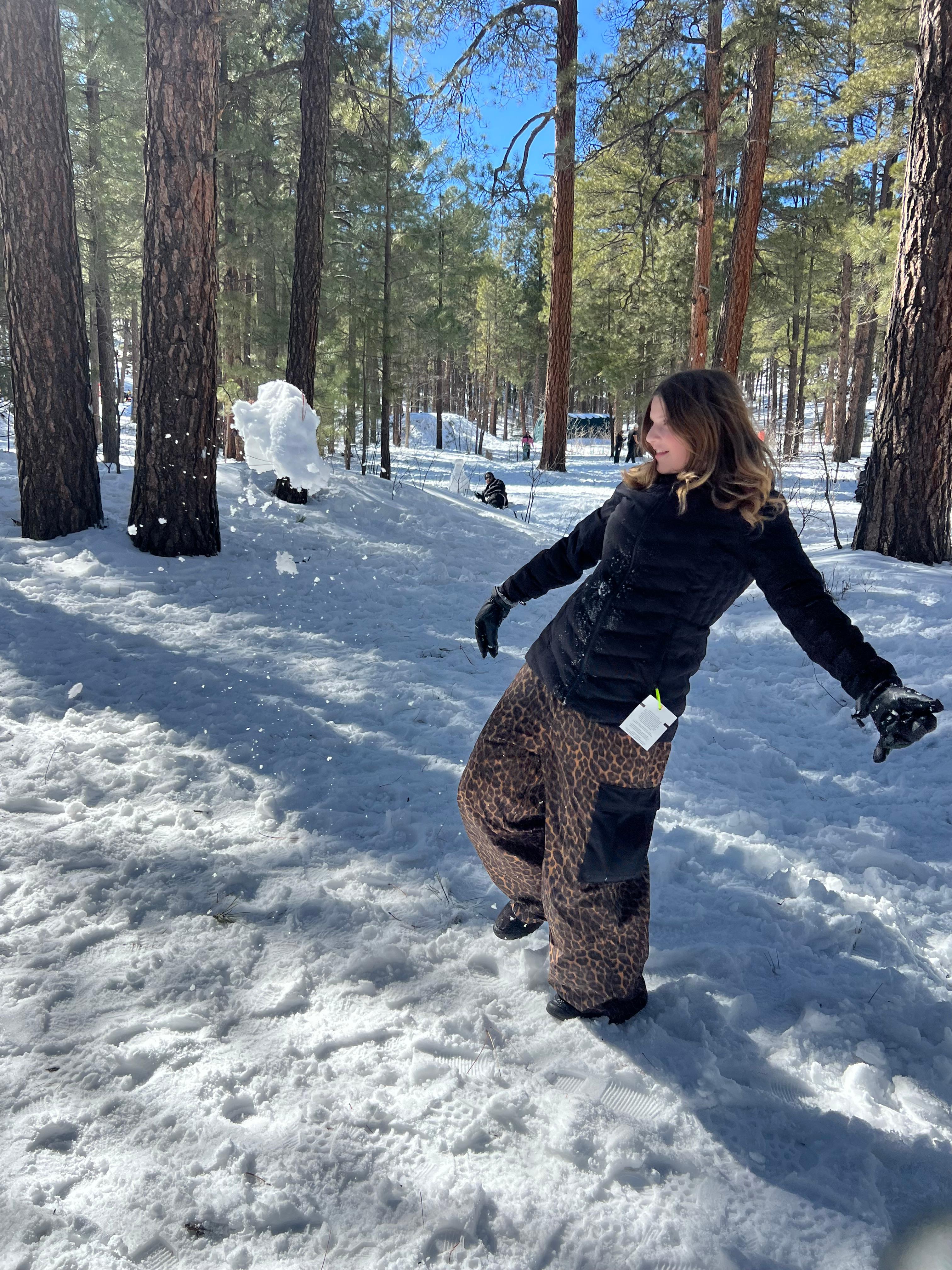 Why buy these snow pants? Review and Demo