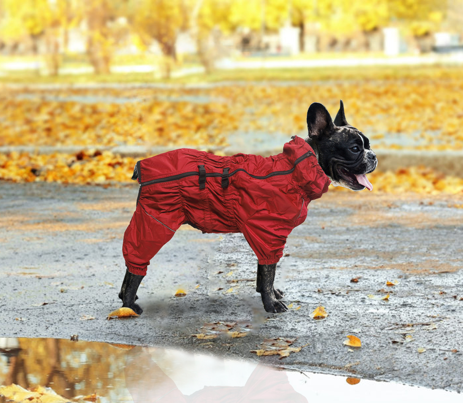 german shepherd raincoat amazon