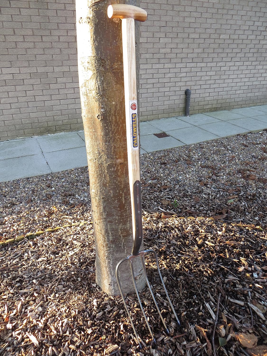 Caldwells 4 Manure Fork Amazon.co.uk Garden