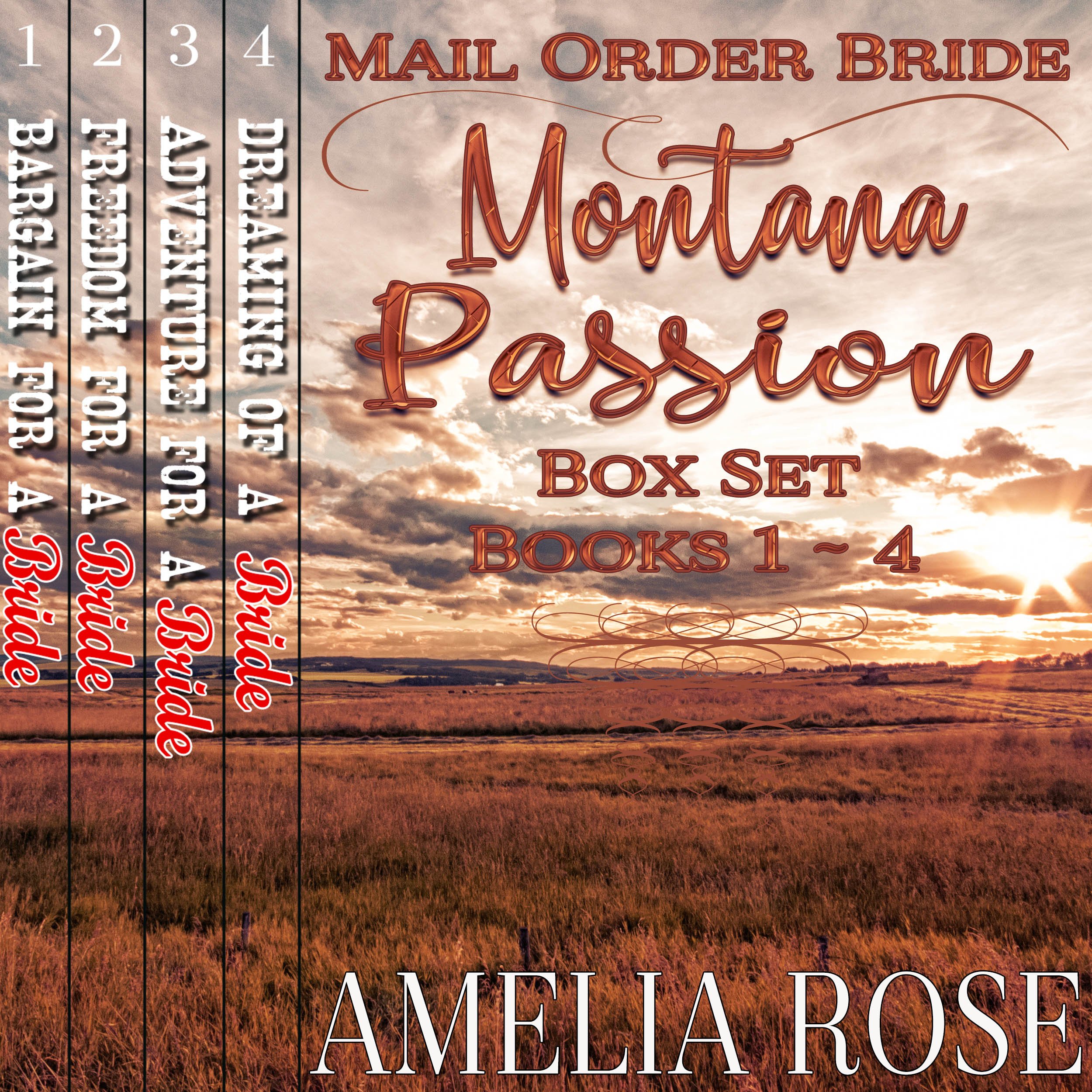 Cover art for Mail Order Bride