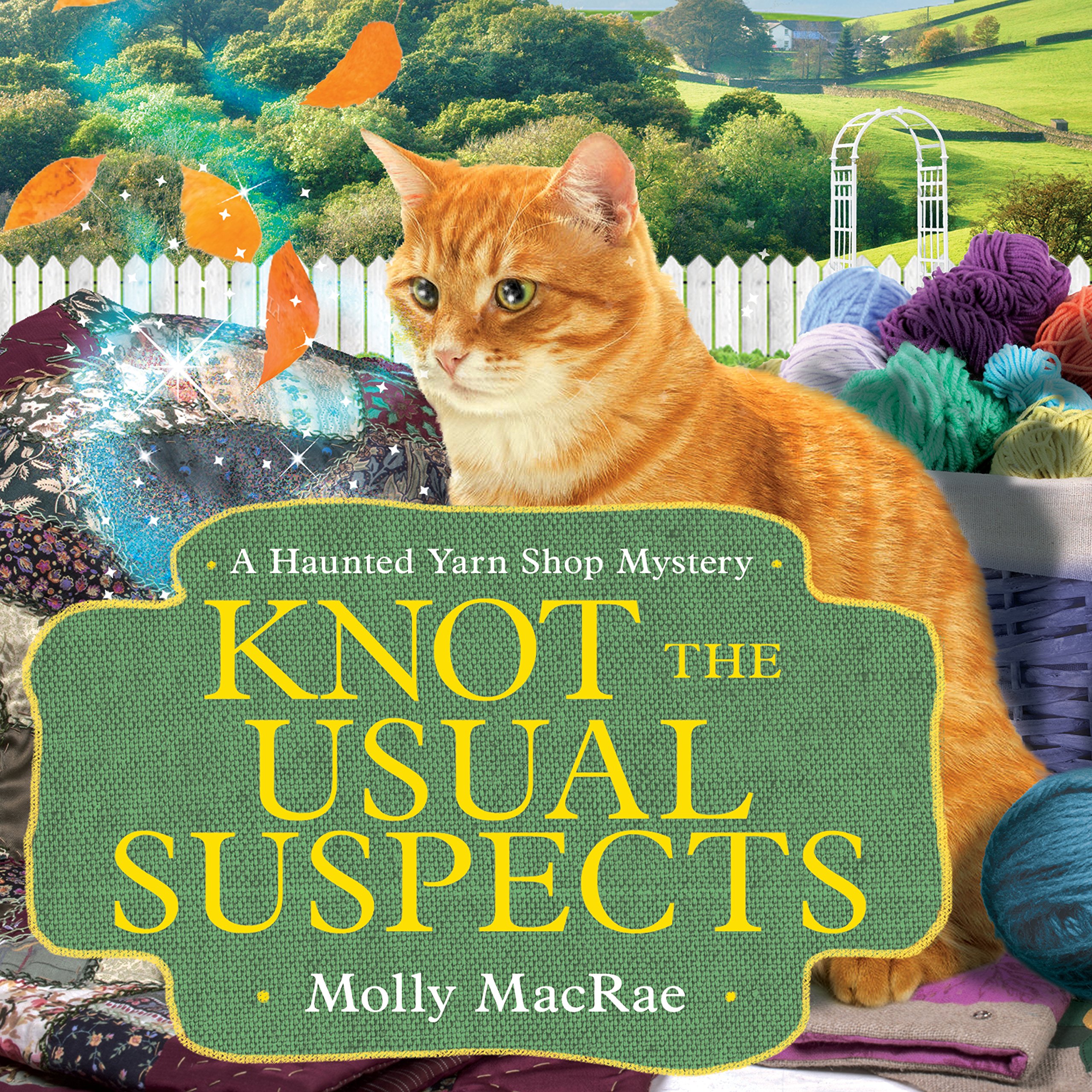 Cover art for Knot the Usual Suspects