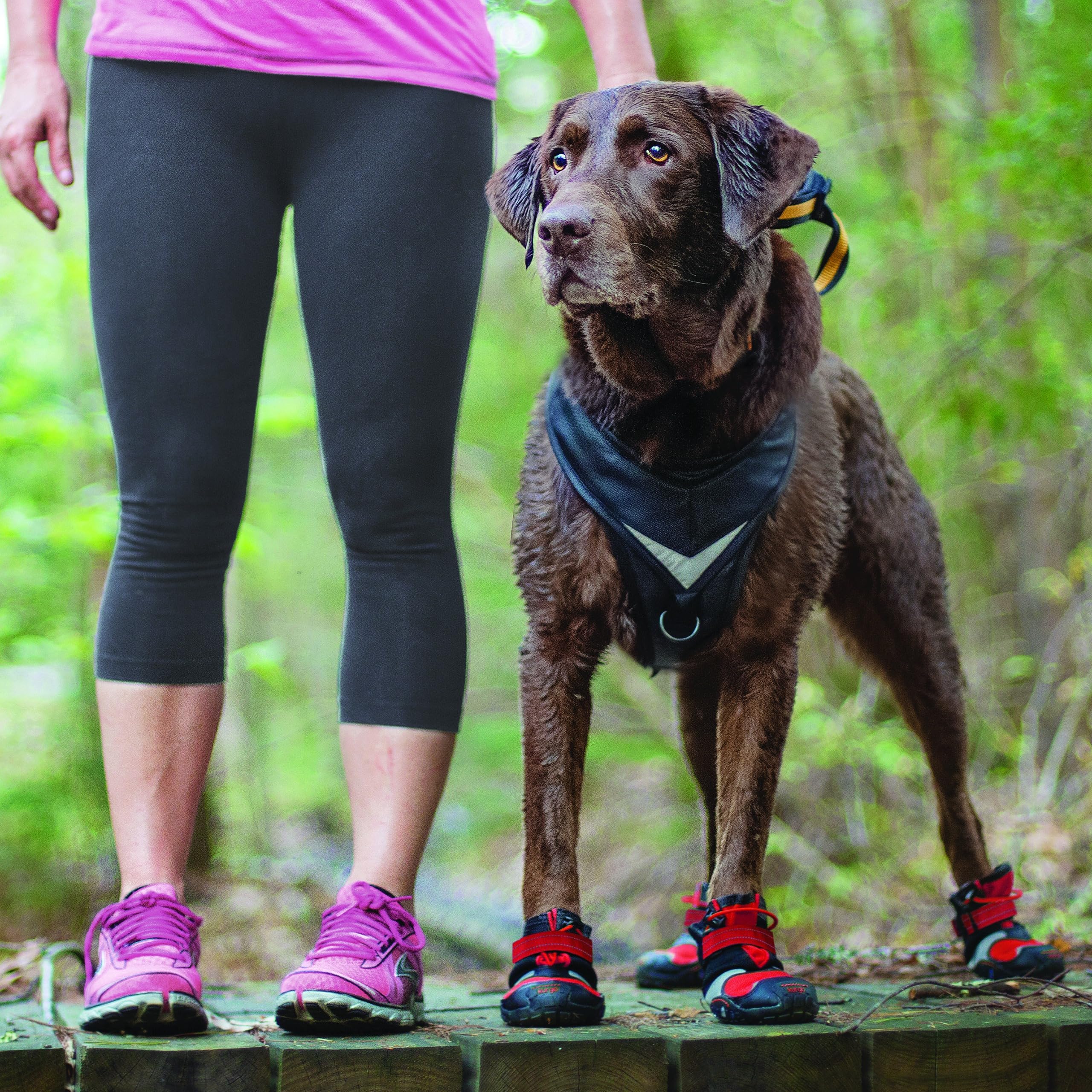 Kurgo Blaze Hunde-Stiefel - Für jede Jahreszeit - Atmungsaktives Material - Wasserabweisende Hundeschuhe - Doppelte Knöchelverschlüsse - Reflektierende Stiefel - Chilirot/Schwarz - M