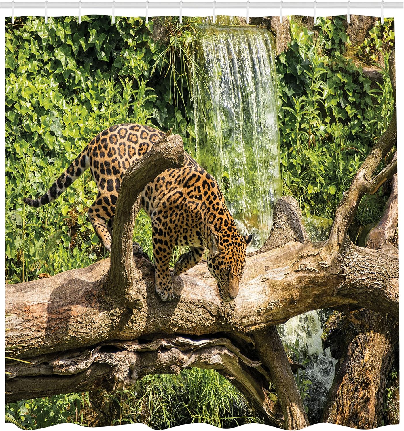 Ambesonne Savannah Shower Curtain, Jaguar Cat on Tree Trunk Waterfall Endangered Species Wild Life Fast Animal, Cloth Fabric Bathroom Decor Set with Hooks, 69" W x 75" L, Green Pale Brown