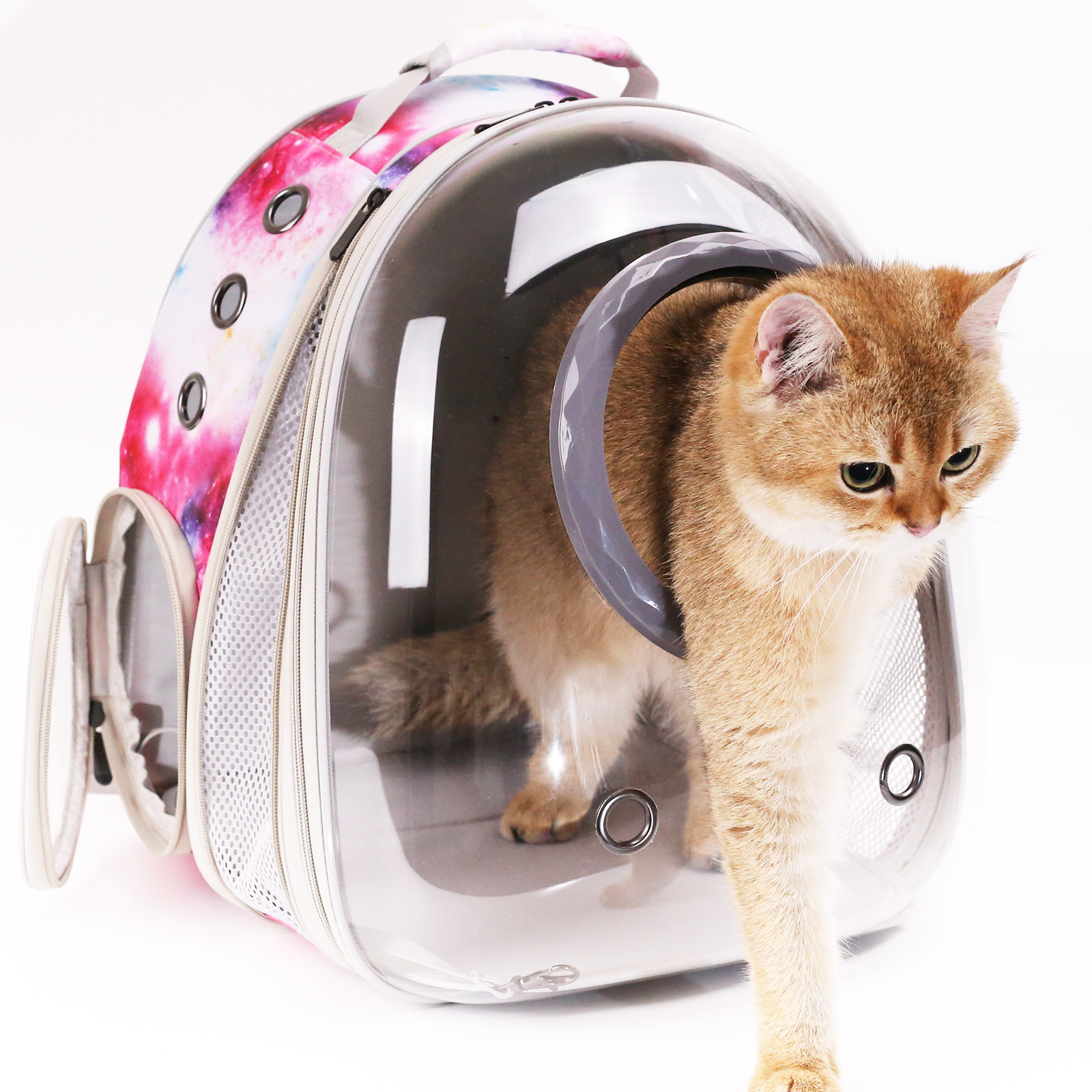 Dual Expandable Cat Backpack with Bubble Dome, Large Cat Carrier Space Capsule Clear Window, Fits up to 20 Pounds Fat Cat, Small Puppy and Bunny, Pet Travel Vet Bag