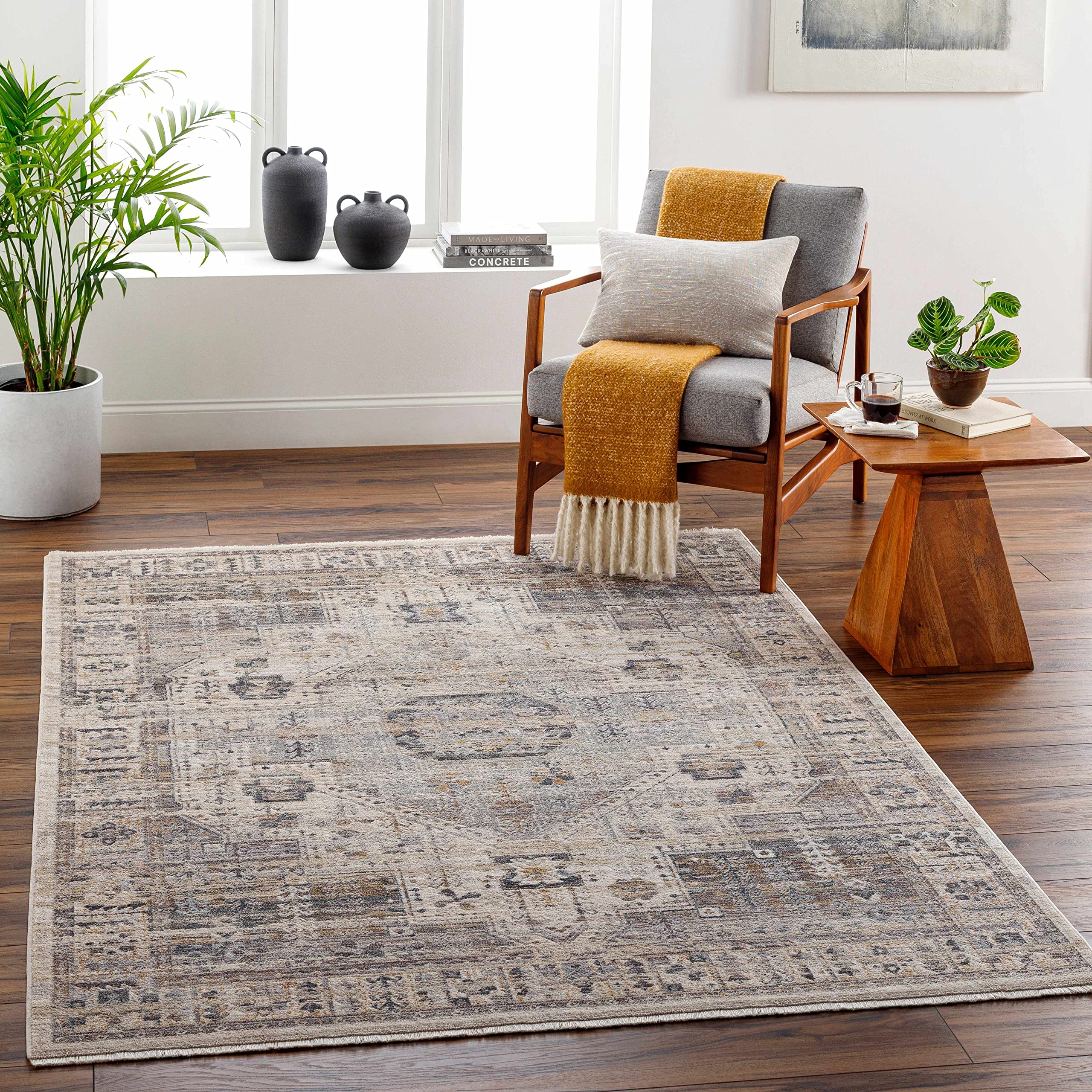 Boutique RugsIiona Traditional Area Rug - Lambswool, Taupe, Gray - 5' x 7'9"