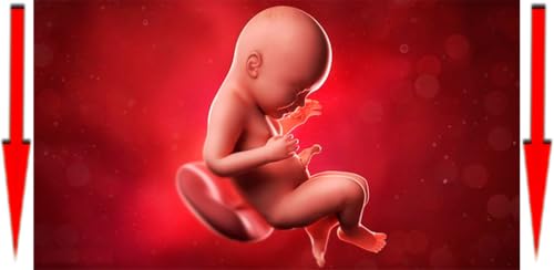 Pregnancy week by week