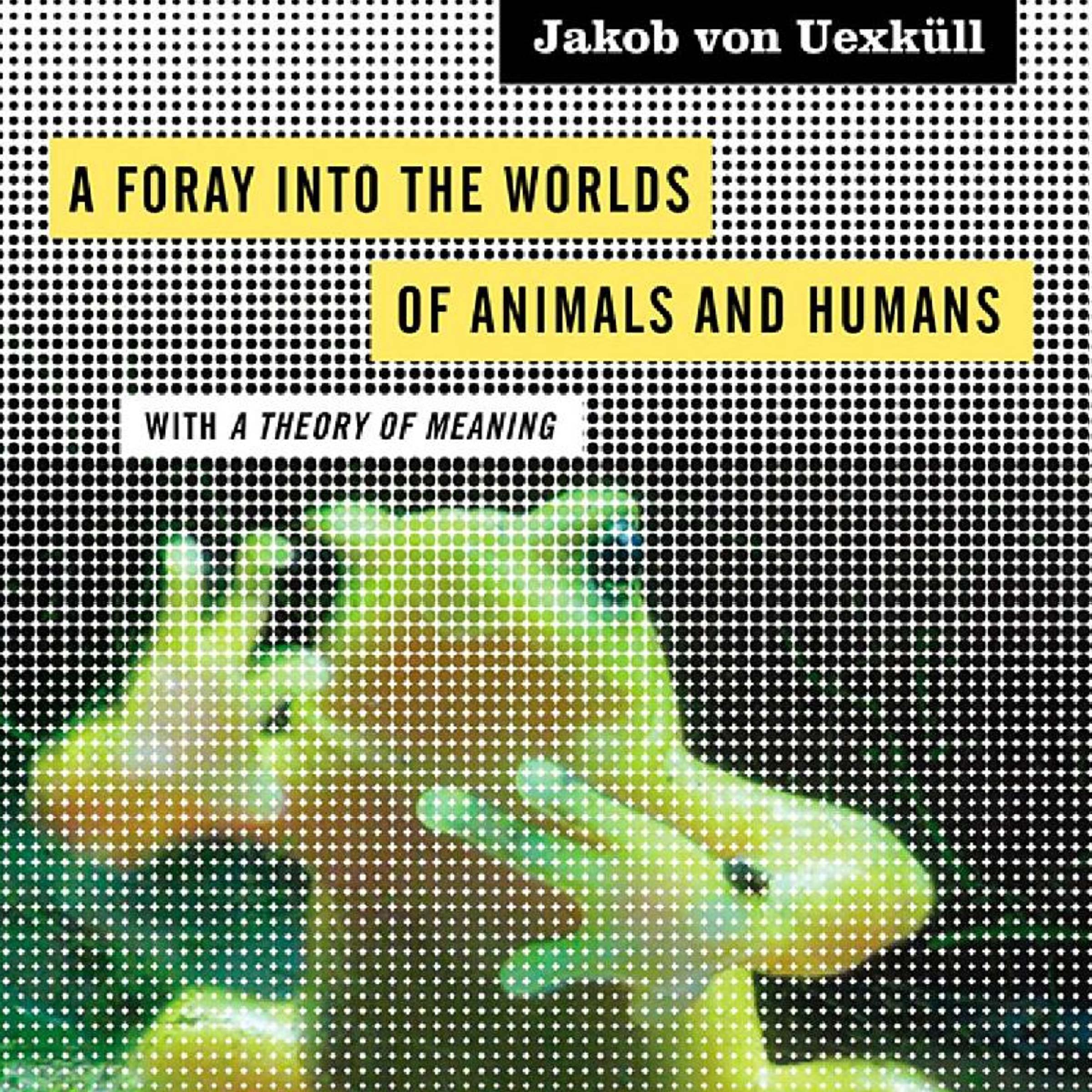 Cover art for A Foray into the Worlds of Animals and Humans