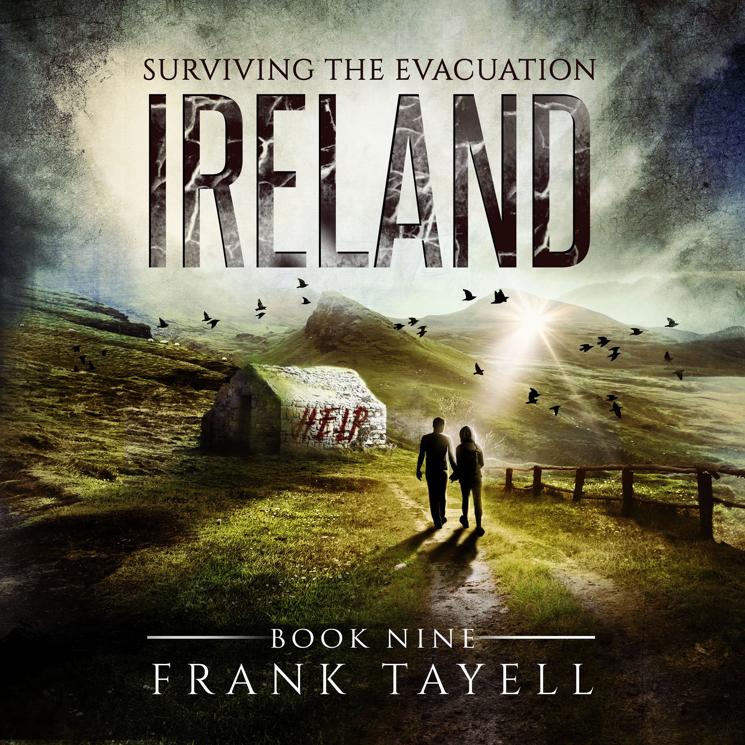 Cover art for Surviving the Evacuation, Book 9: Ireland