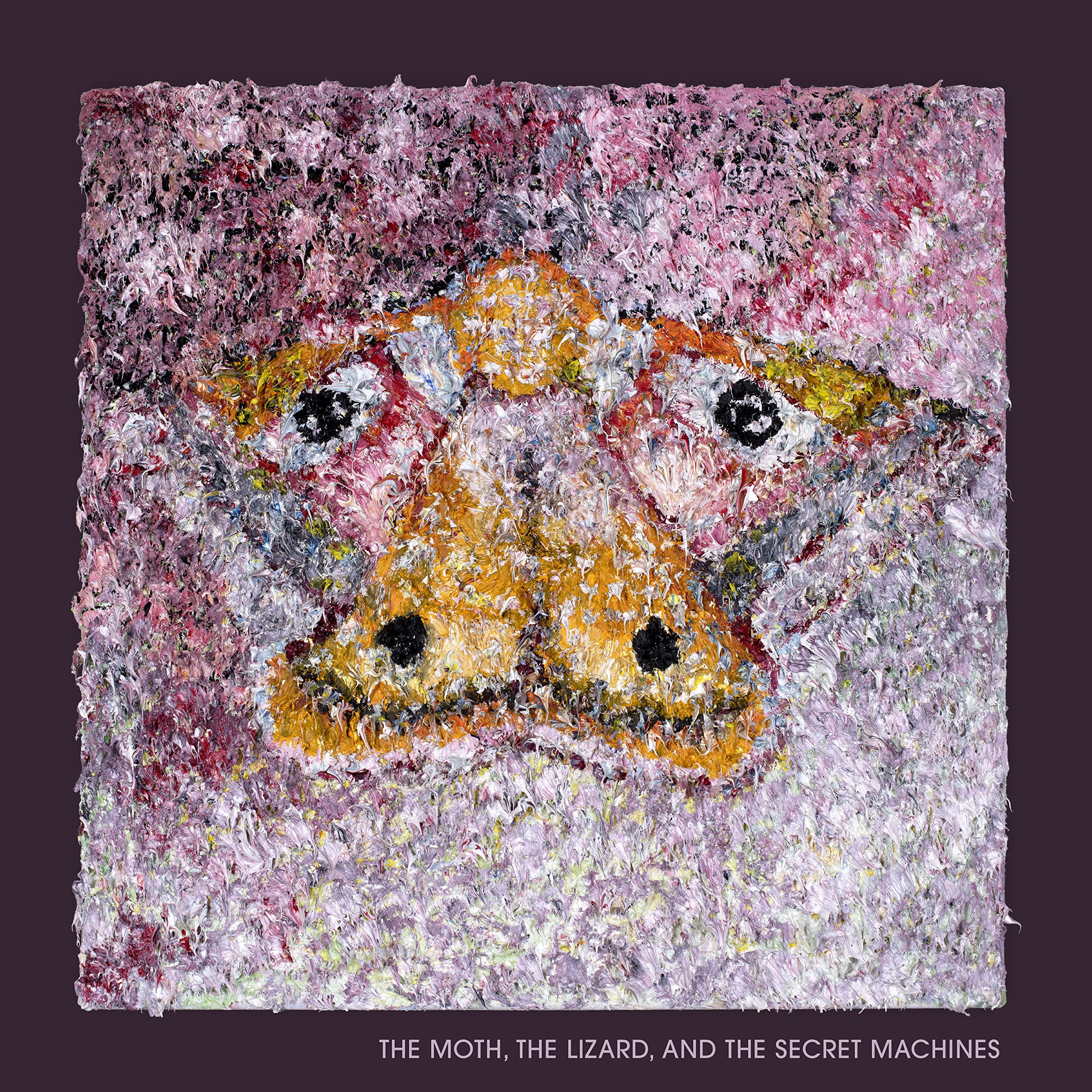 The Moth The Lizard & The Secret Machines [VINYL]