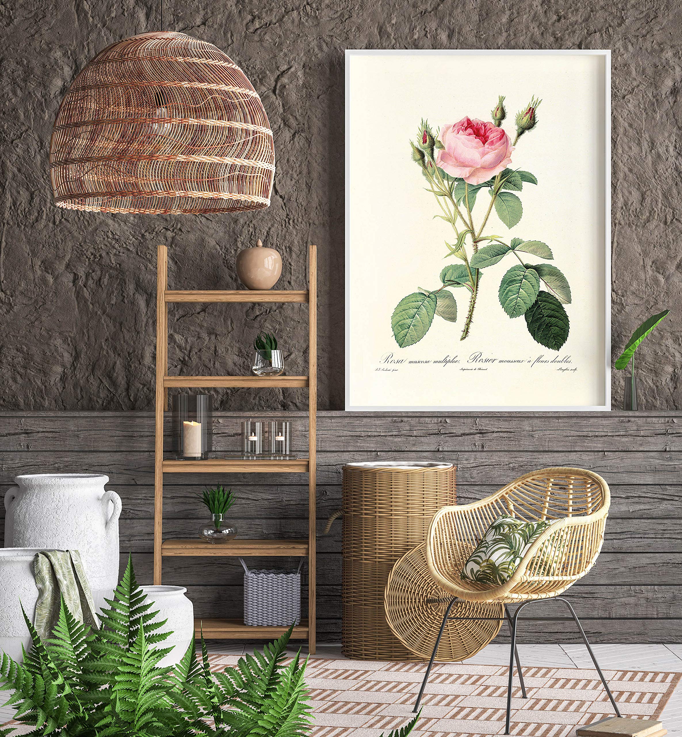 Stampa artistica di rose antiche: decorazione murale botanica - Italia