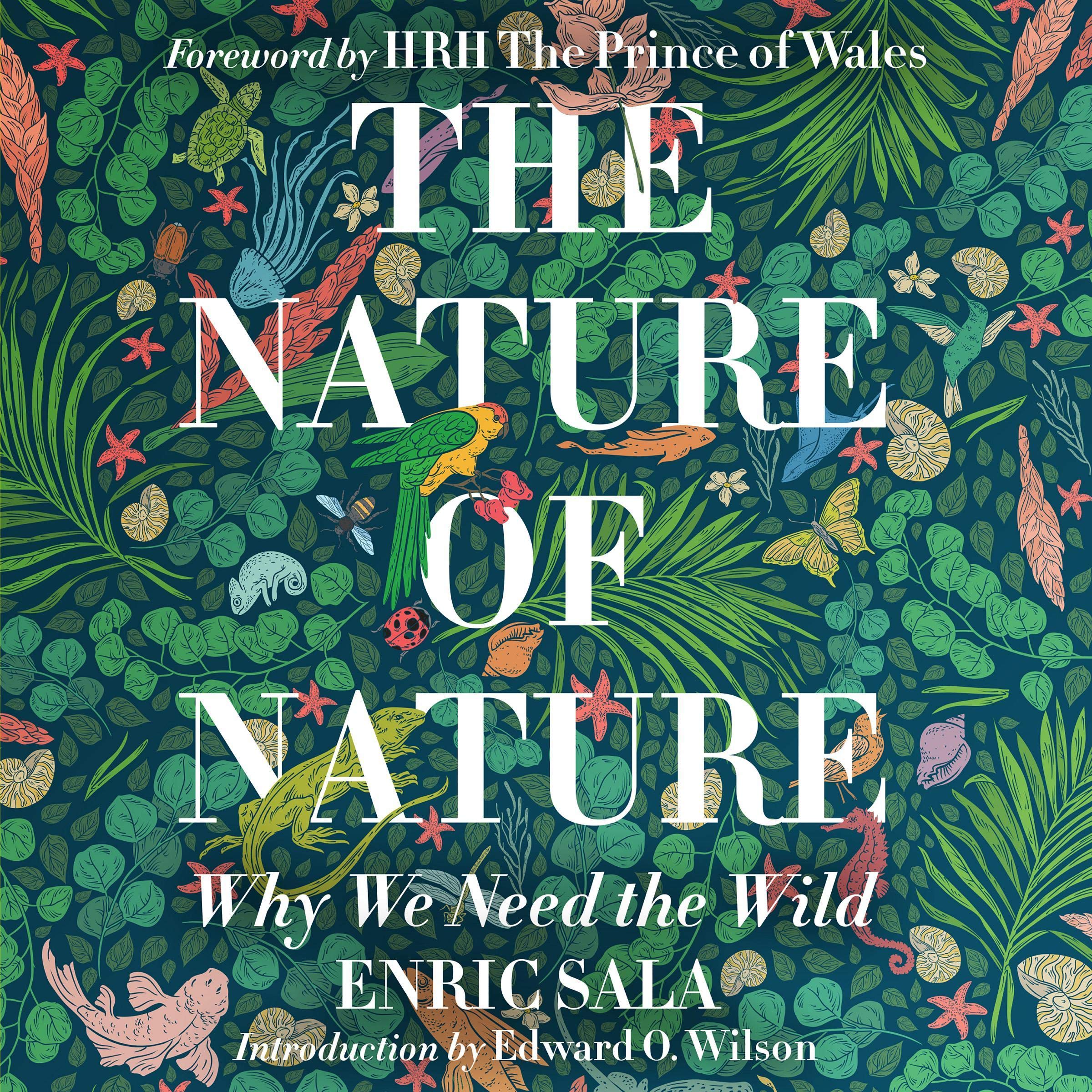 Cover art for The Nature of Nature