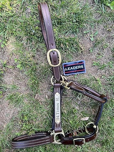 Miniatura 8 de Leaders - Cabestro de cuero para caballos con placa de nombre grabada personalizada para caballo