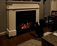 Review Image by Joao Fernandes Joao Fernandes