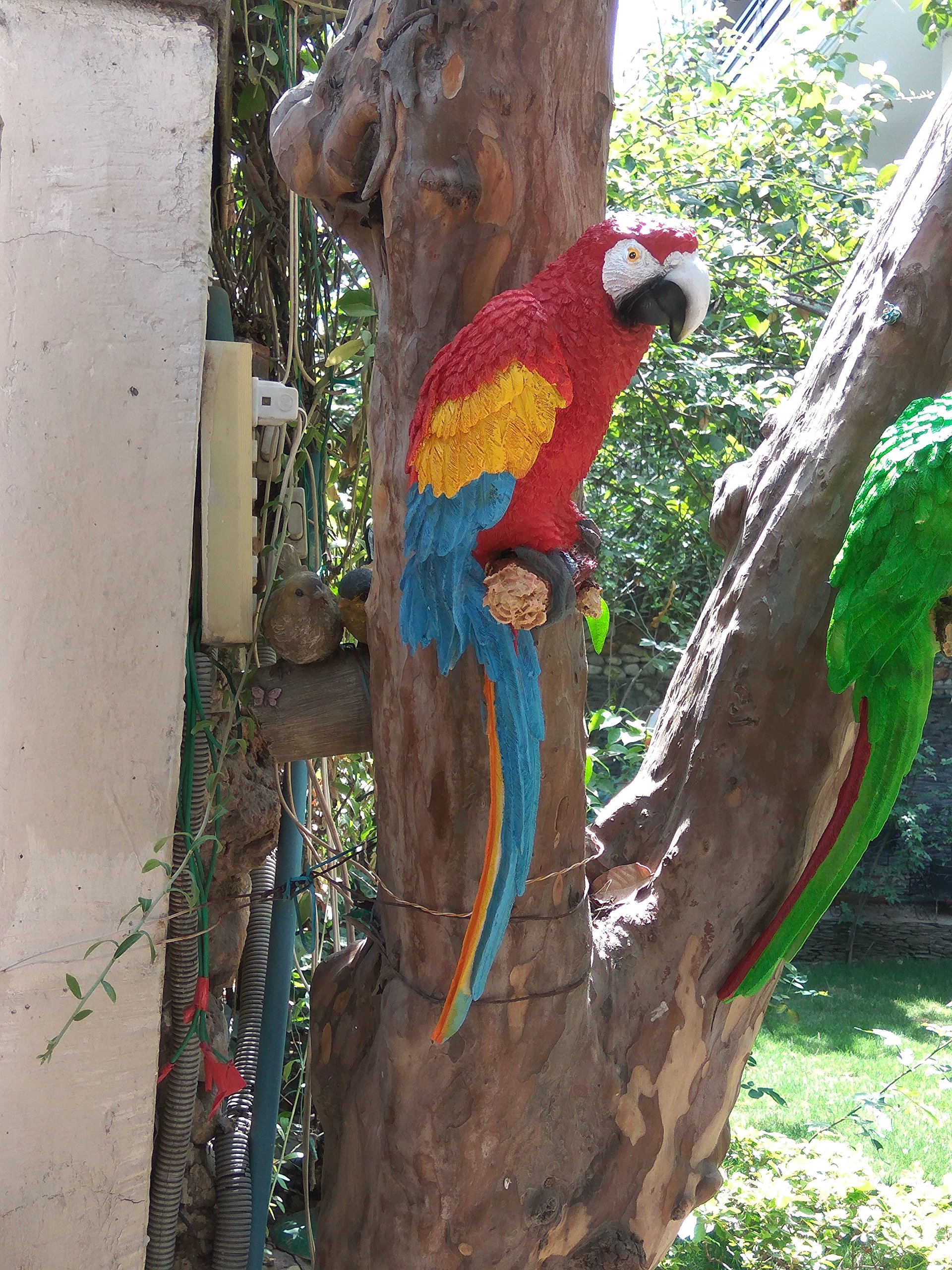 Wonderland Red 18.5 Inches Height Large Wall Parrot in Red for Home/Garden & Outdoor Decor, Wall Decoration, Wall Hanging, Bird Animal Statue, Balcony Decor, Kids Room (B071Y29VHS) Amazon Price History, Amazon Price Tracker