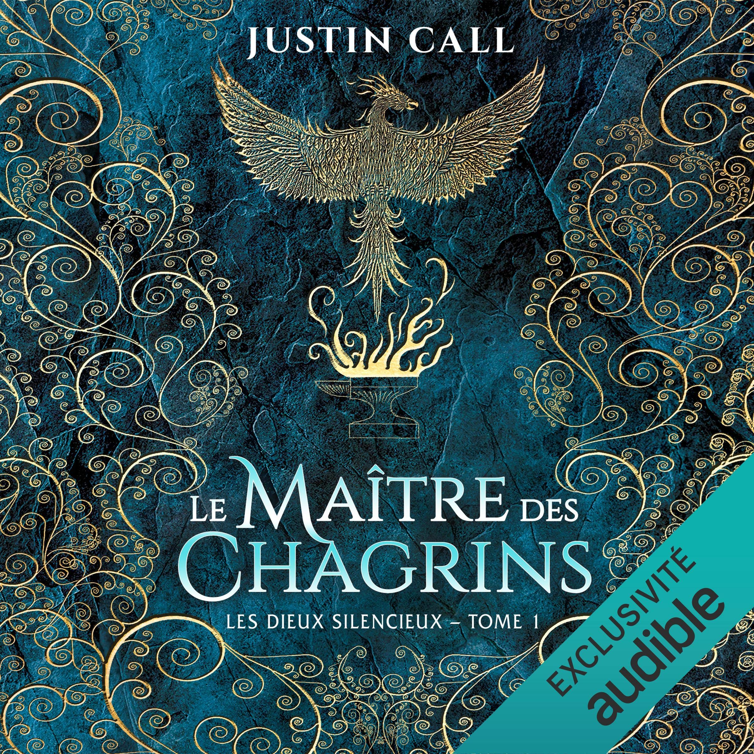 Cover art for Le maître des chagrins