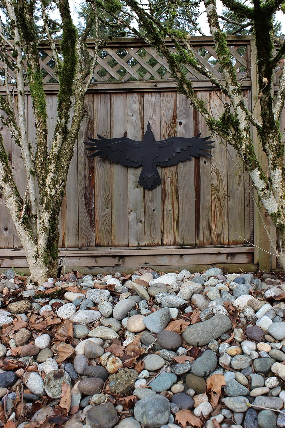 Flying Raven