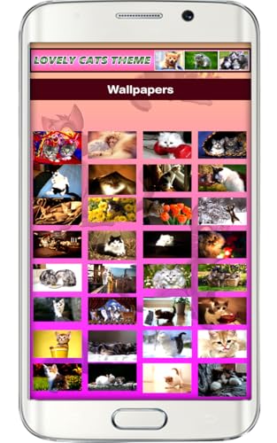 Adoráveis Gatos Tema