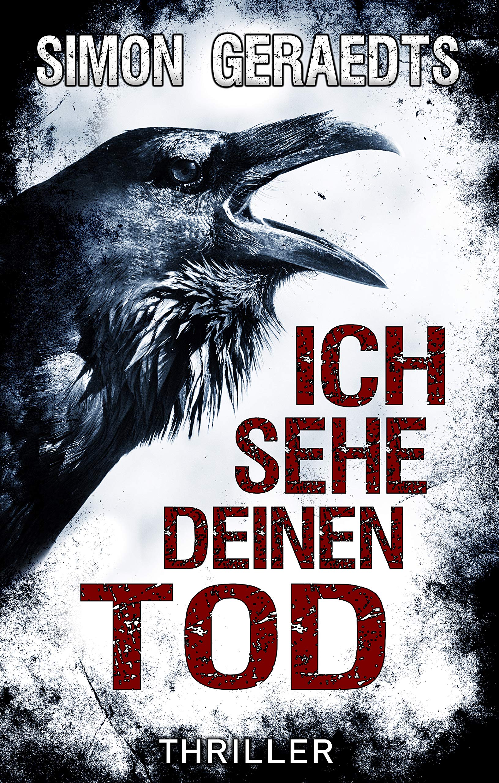 Ich sehe deinen Tod: Thriller (German Edition)