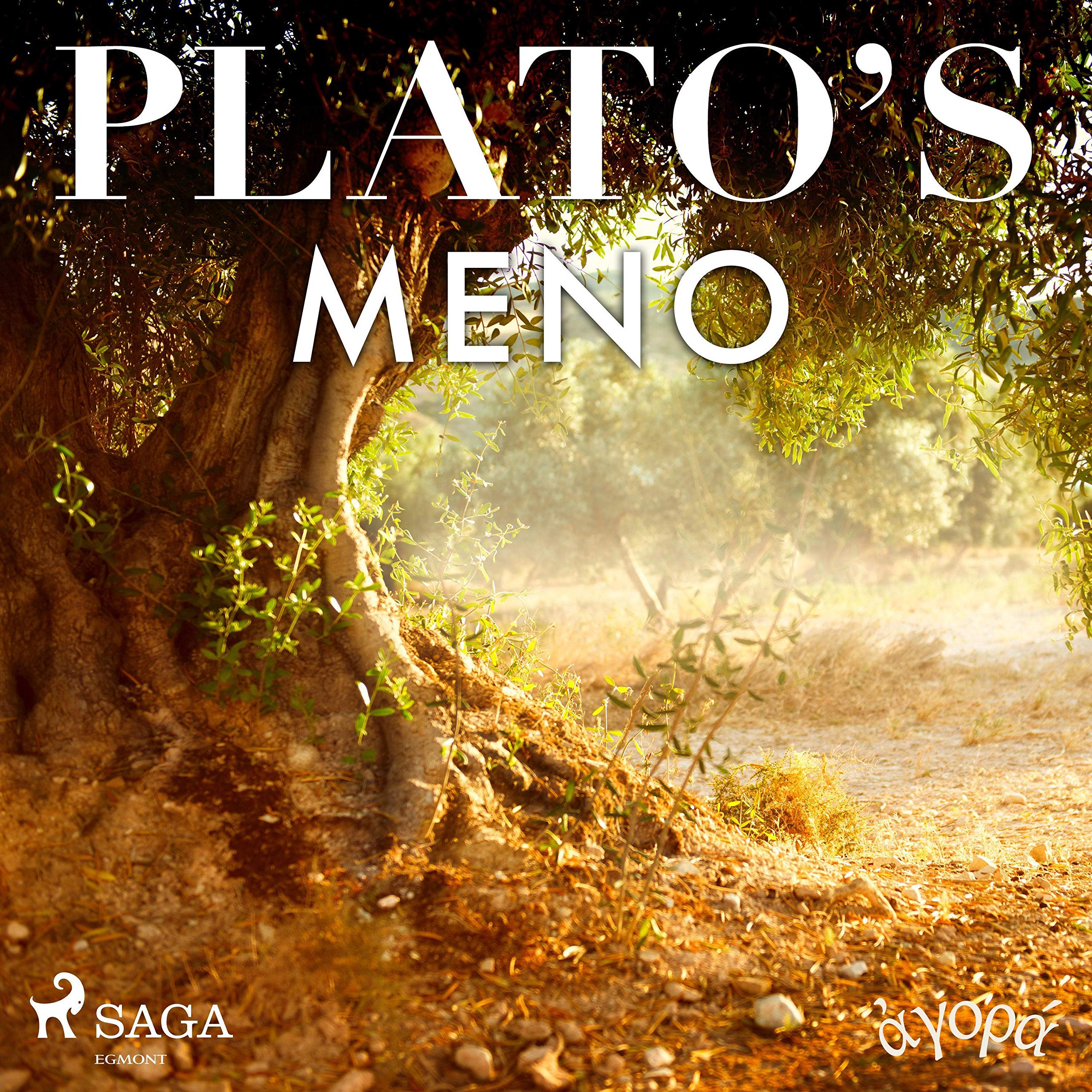 Cover art for Plato's Meno