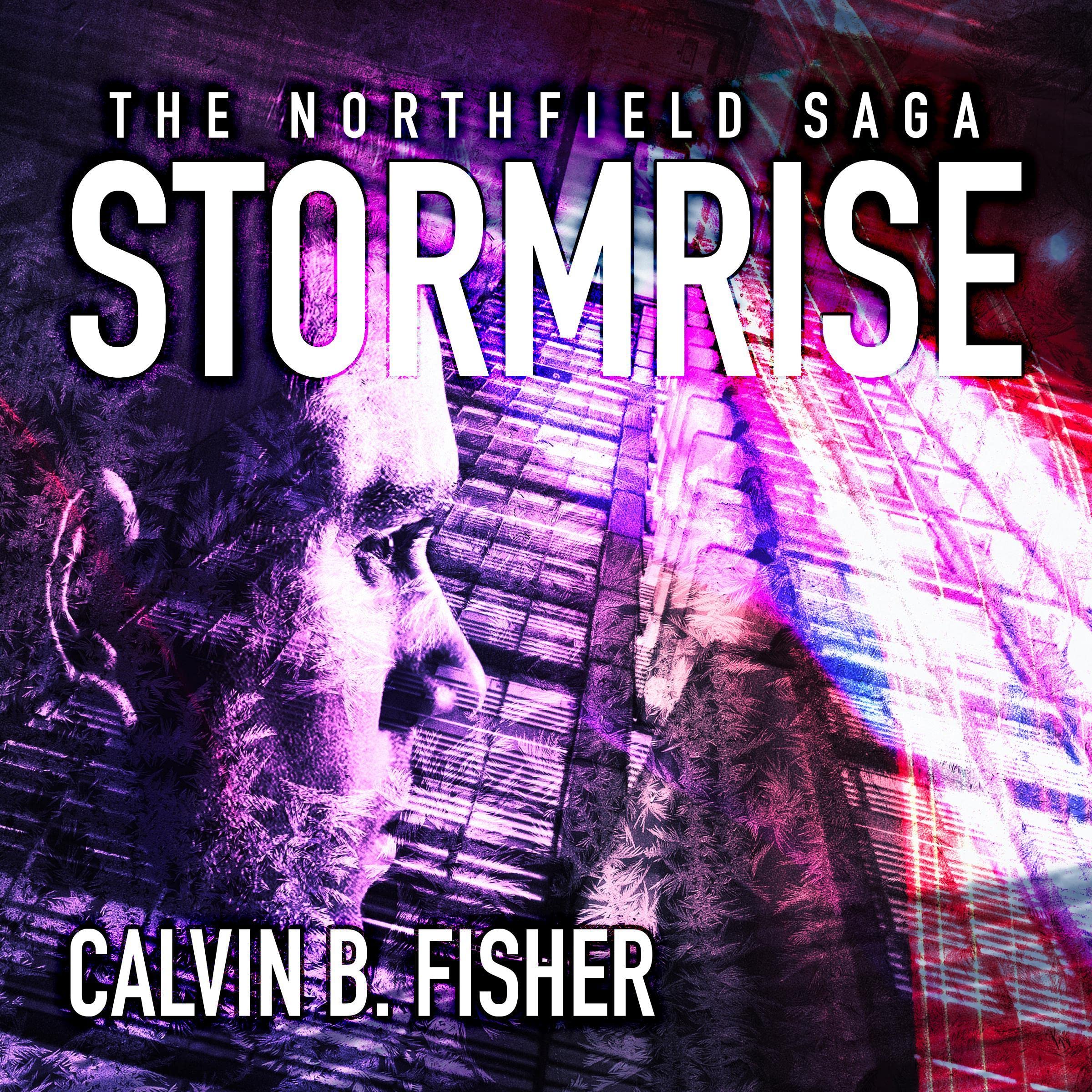 Cover art for Stormrise