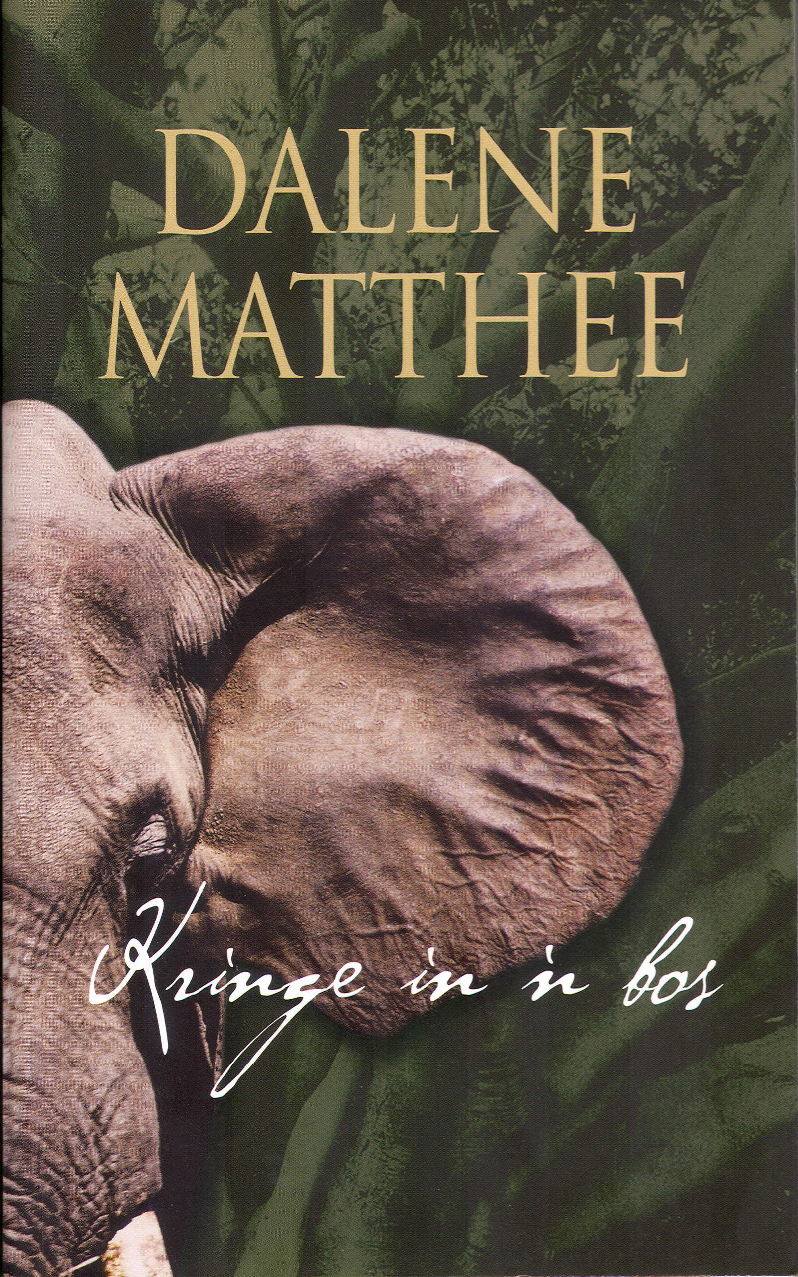 Kringe in 'n bos (Afrikaans Edition)