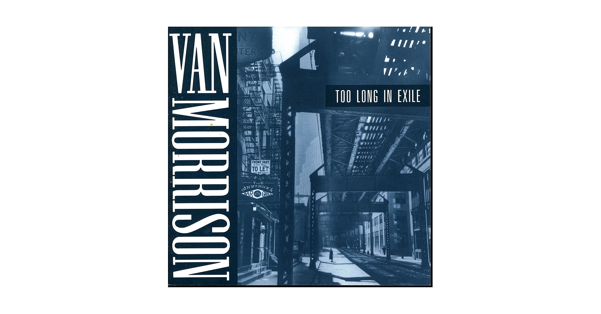 Van Morrison Too Long In Exile UK盤LPレコード Van Morrison Too Long In Exile UK盤LPレコード