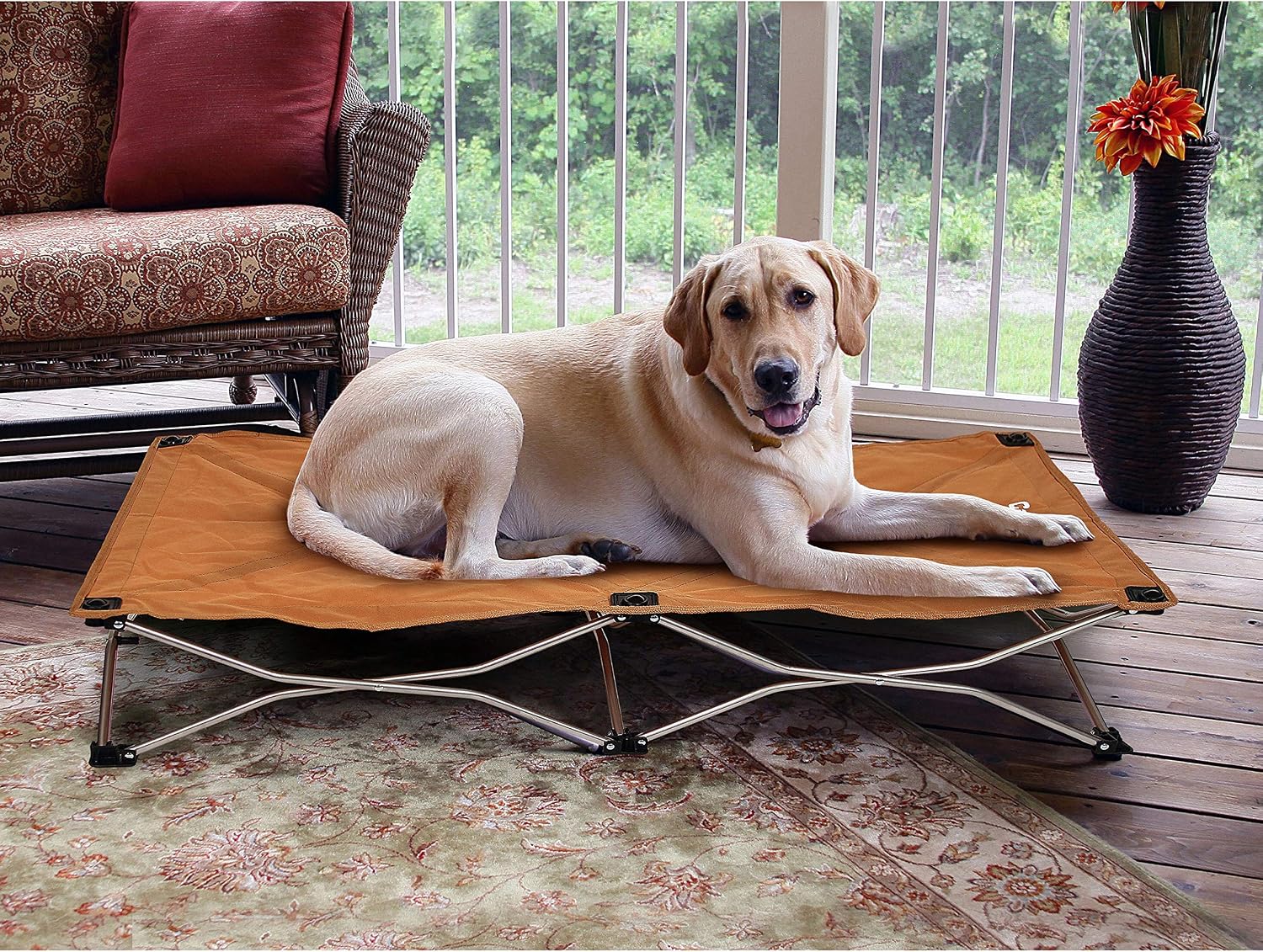 Carlson Pet Products 8025 Elevated Folding Pet Bed 47" Long, Charcoal