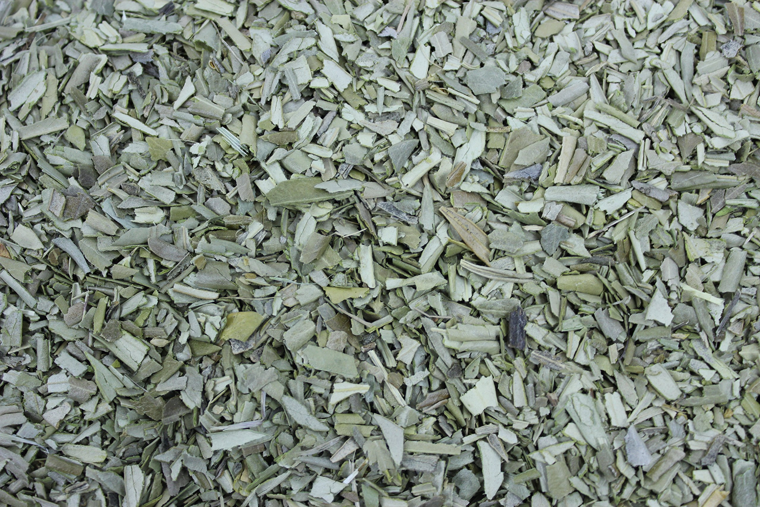 1000Kräuter Olivenblätter Olivenblättertee Tee geschnitten (2000g)