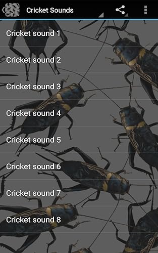 Cricket Sounds