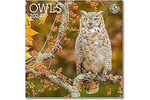 Owls Mini Wall Calendar 2024: Adorn Your Space with Owl Charm