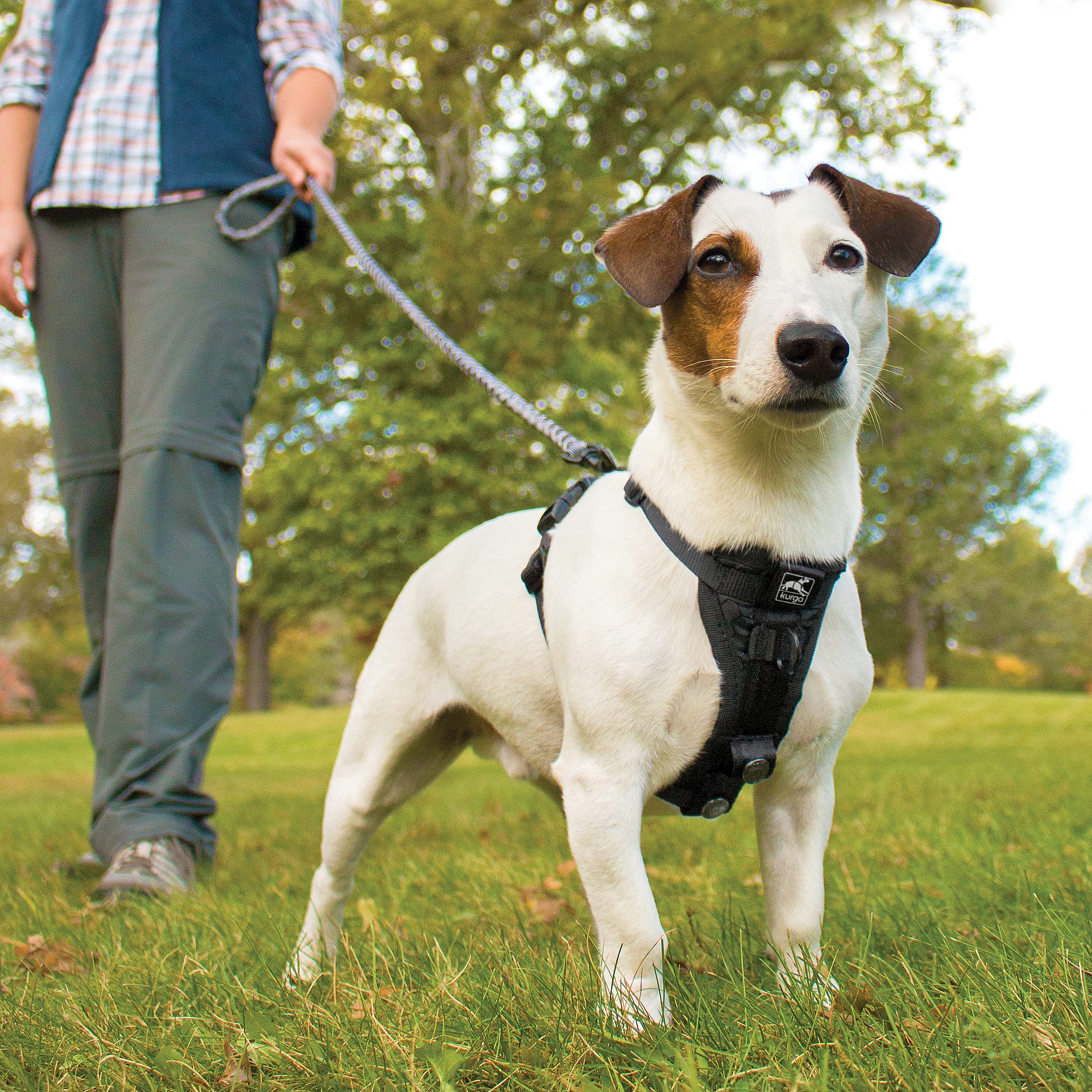 Kurgo Tru-Fit Intelligentes Hundegeschirr für Spaziergänge - Bequeme Passform - Verstellbares Geschirr - Reflektierende Tierbekleidung - Mit Sicherheitsgurt-Schlaufe - Schwarz - Mittel