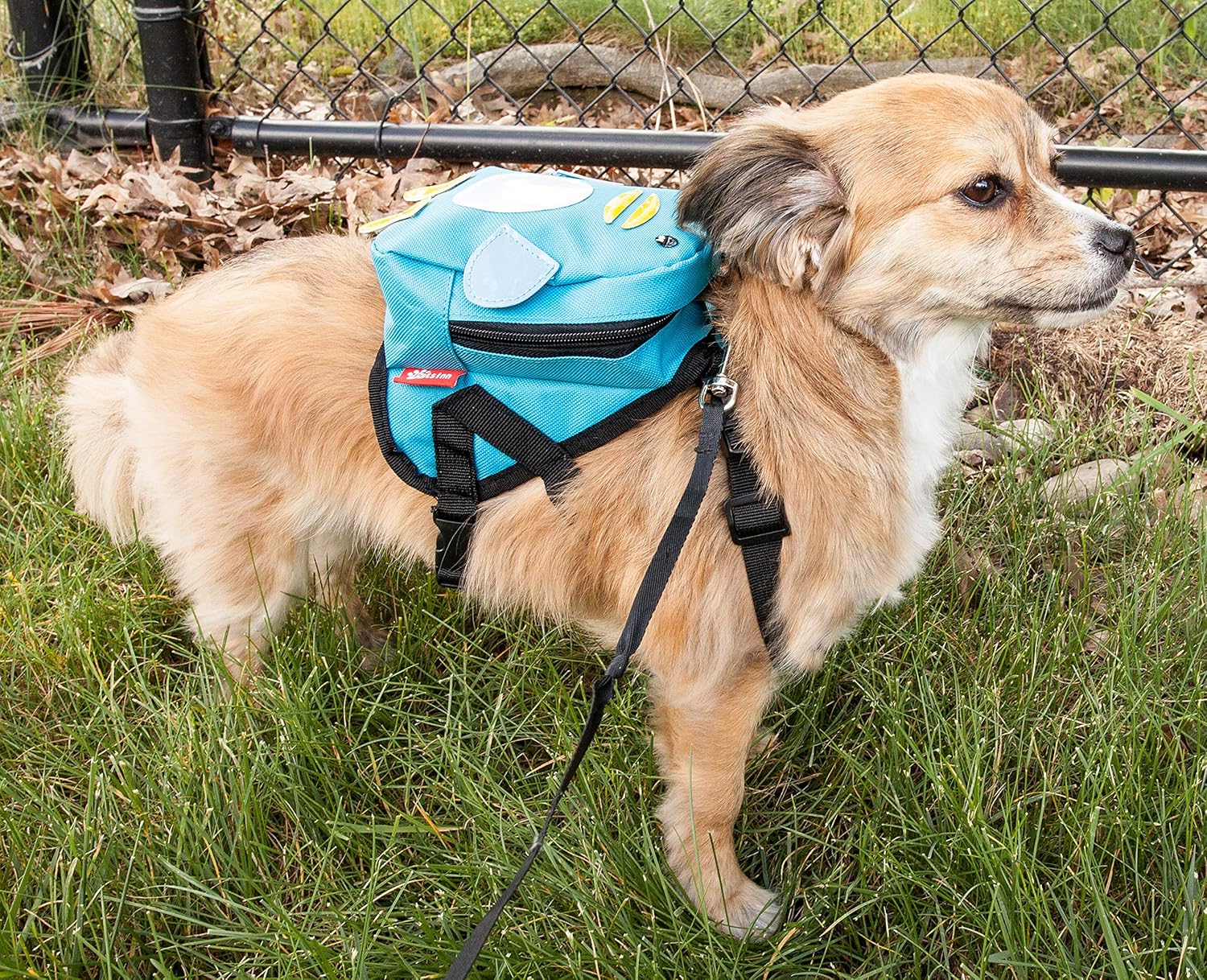 pet life harness