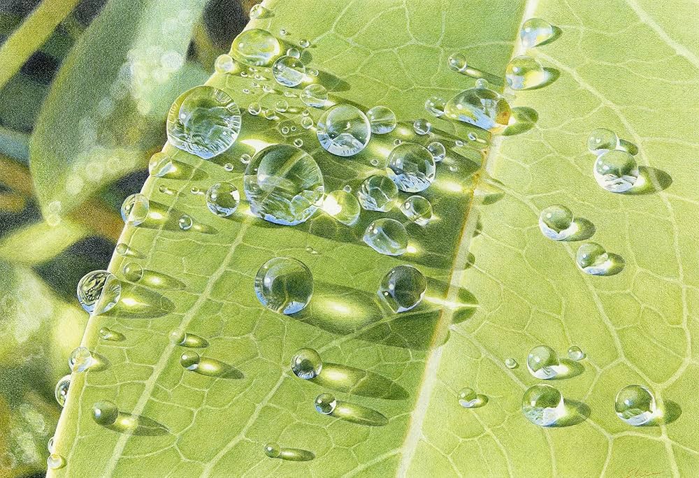 Amazon.com: リアル色鉛筆レッスン: 9784817020840: 三上詩絵: 圖書