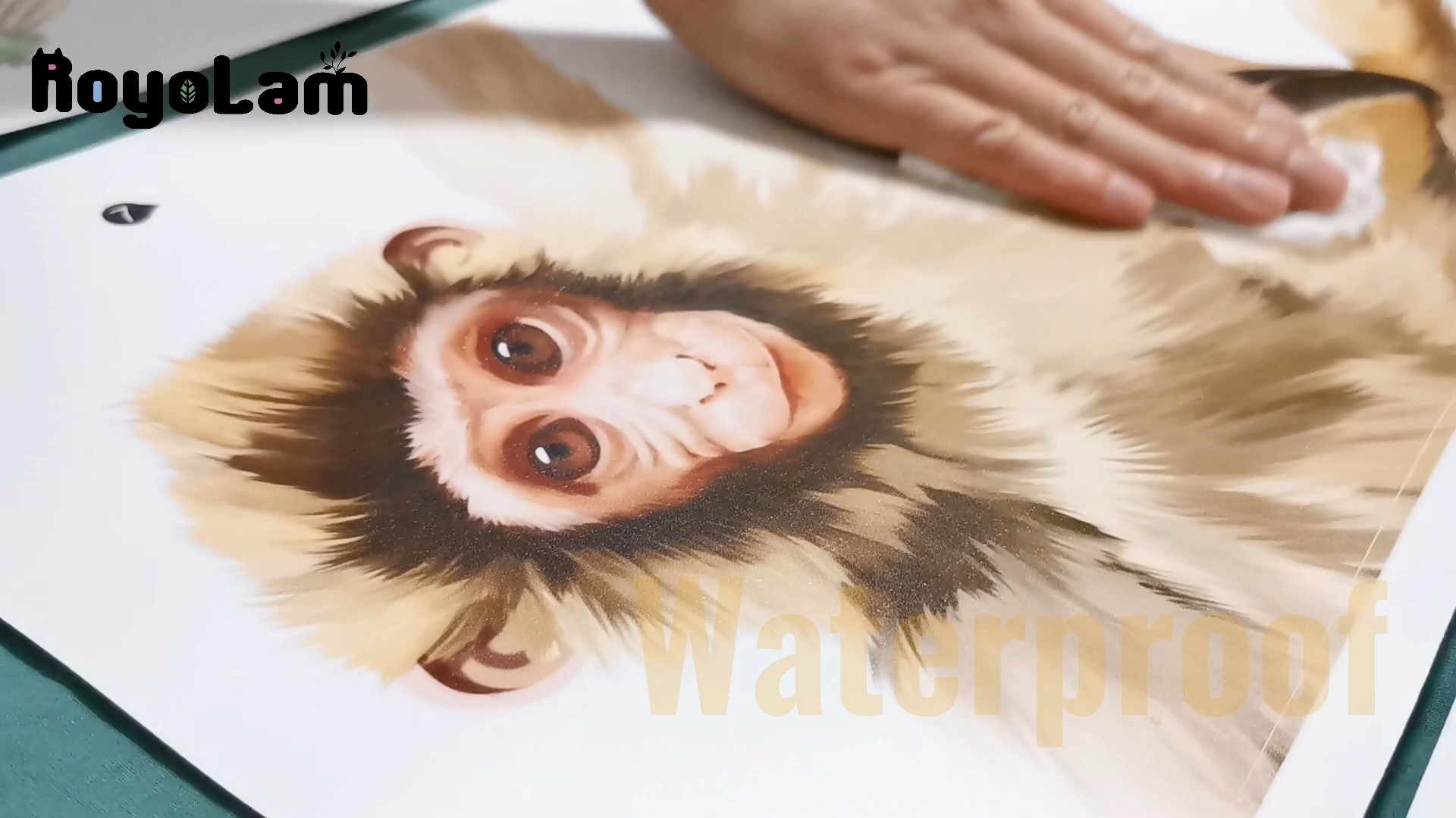 Vinilo decorativo infantil grandes monos trepando en enredaderas miniatura 7