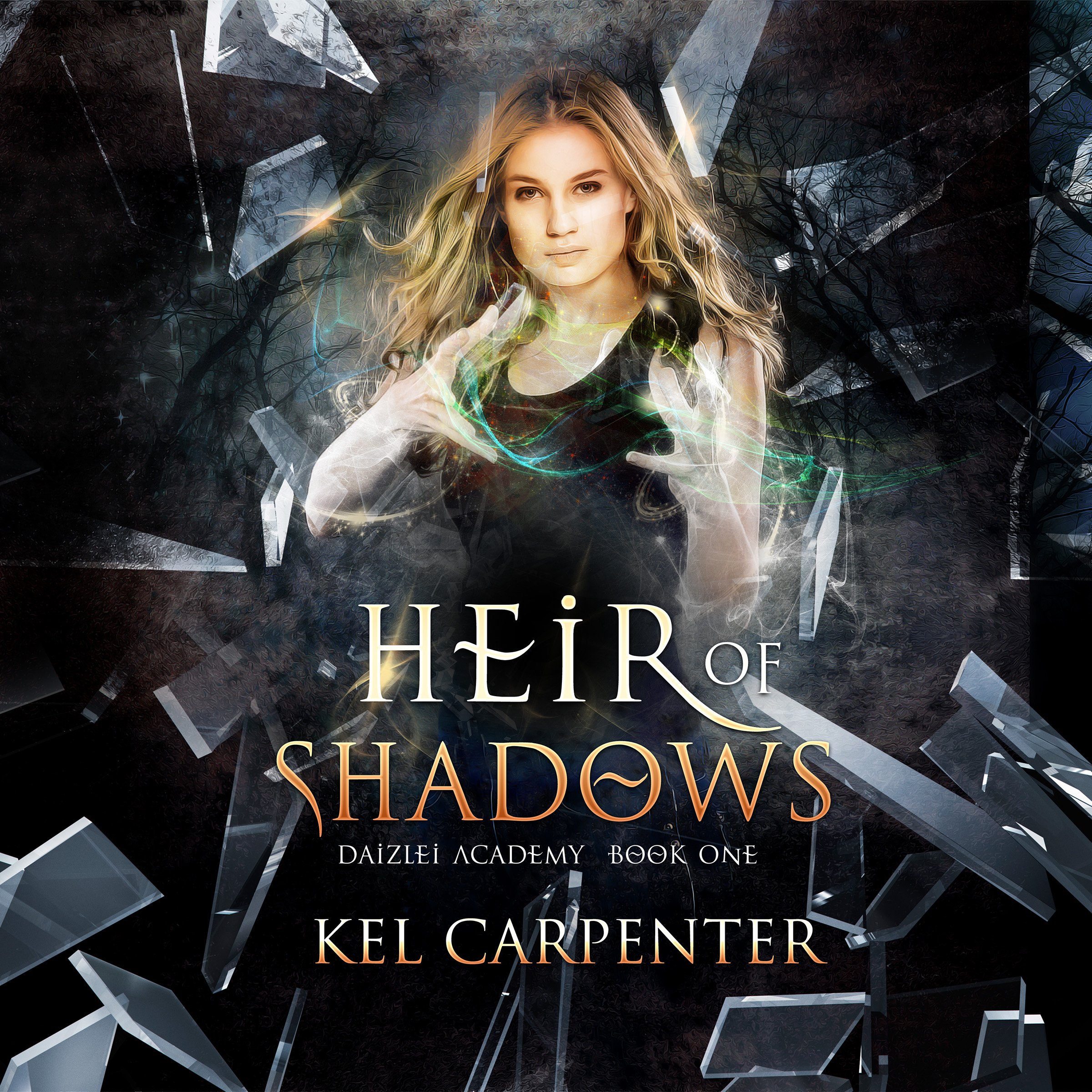 Cover art for Heir of Shadows