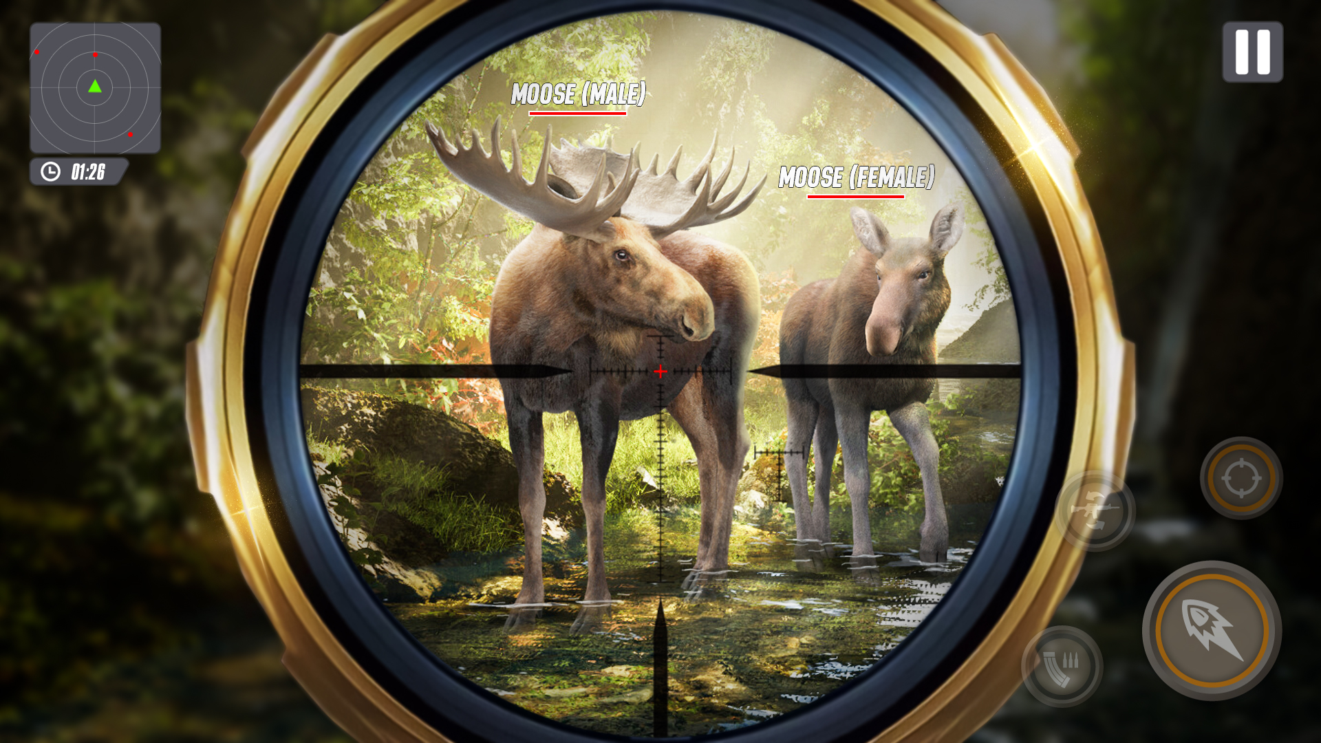 Animal Hunting Deer Hunting Wild Deer Hunter a Deer Hunting Classic