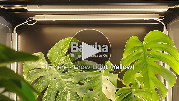 Amazon.com : Barrina T5 Grow Lights for Indoor Plants, Full Amazon.com : Barrina T5 Grow Lights for Indoor Plants, Full
