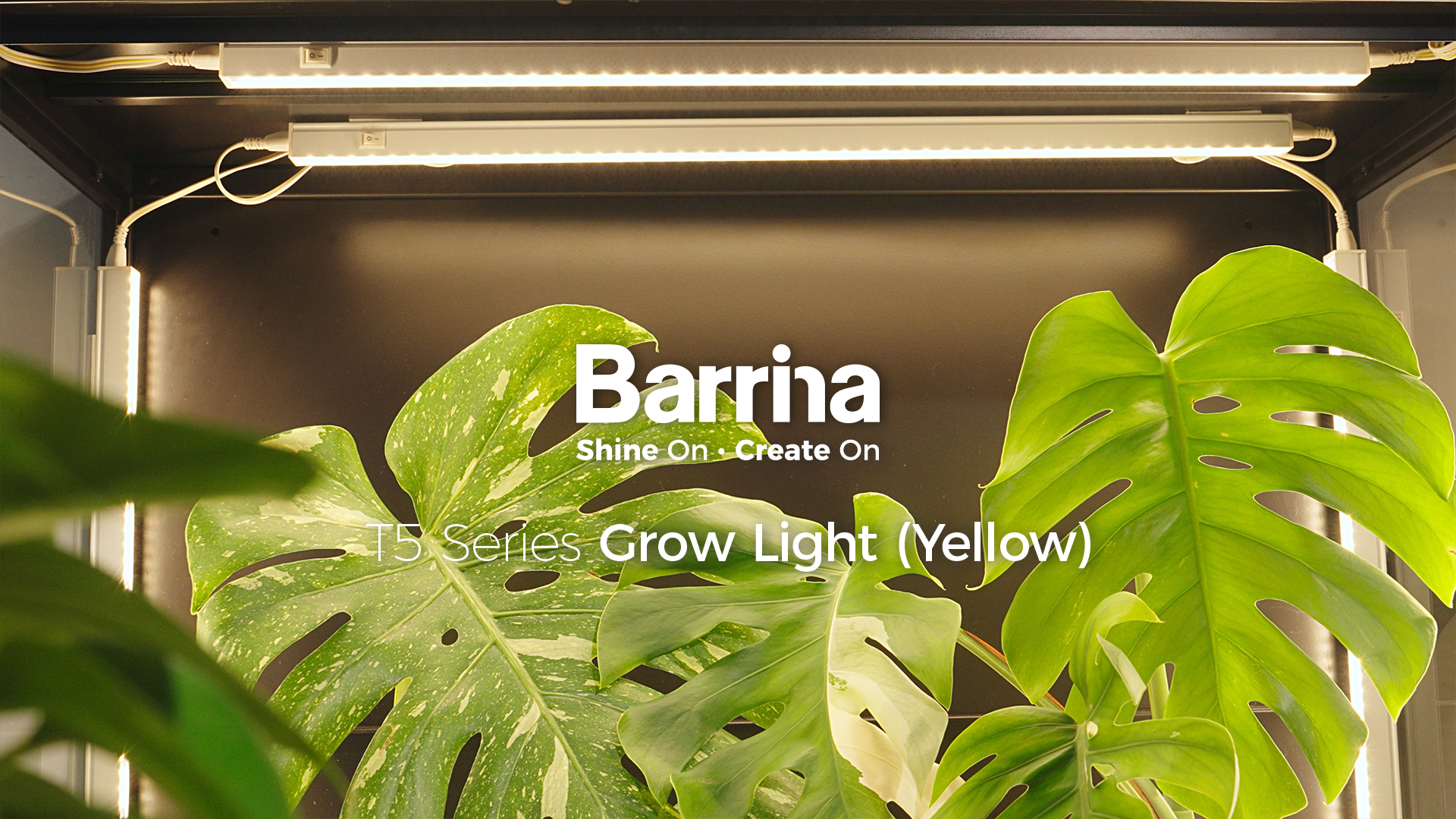 Amazon.com : Barrina Grow Lights for Indoor Plants Full