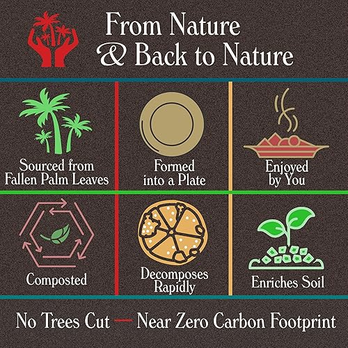 Miniatura 7 de Indie Palm Platos desechables de hoja de palma, cuadrados de 6 pulgadas paquete de 50 100% compostables, alternativa ecológica al papel o al bambú,