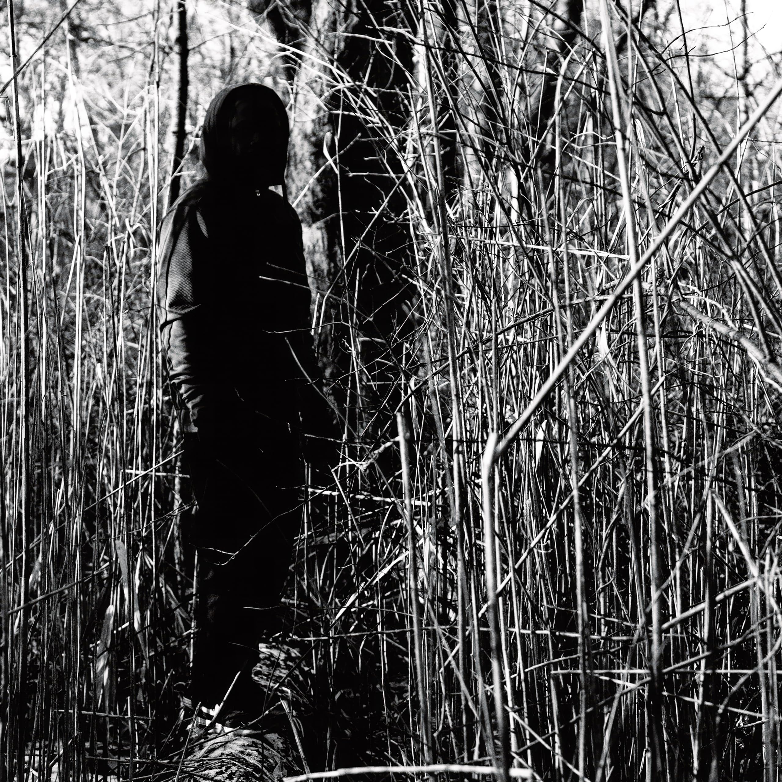 Today, I Wrote Nothing (10 Year Anniversary Reissue)